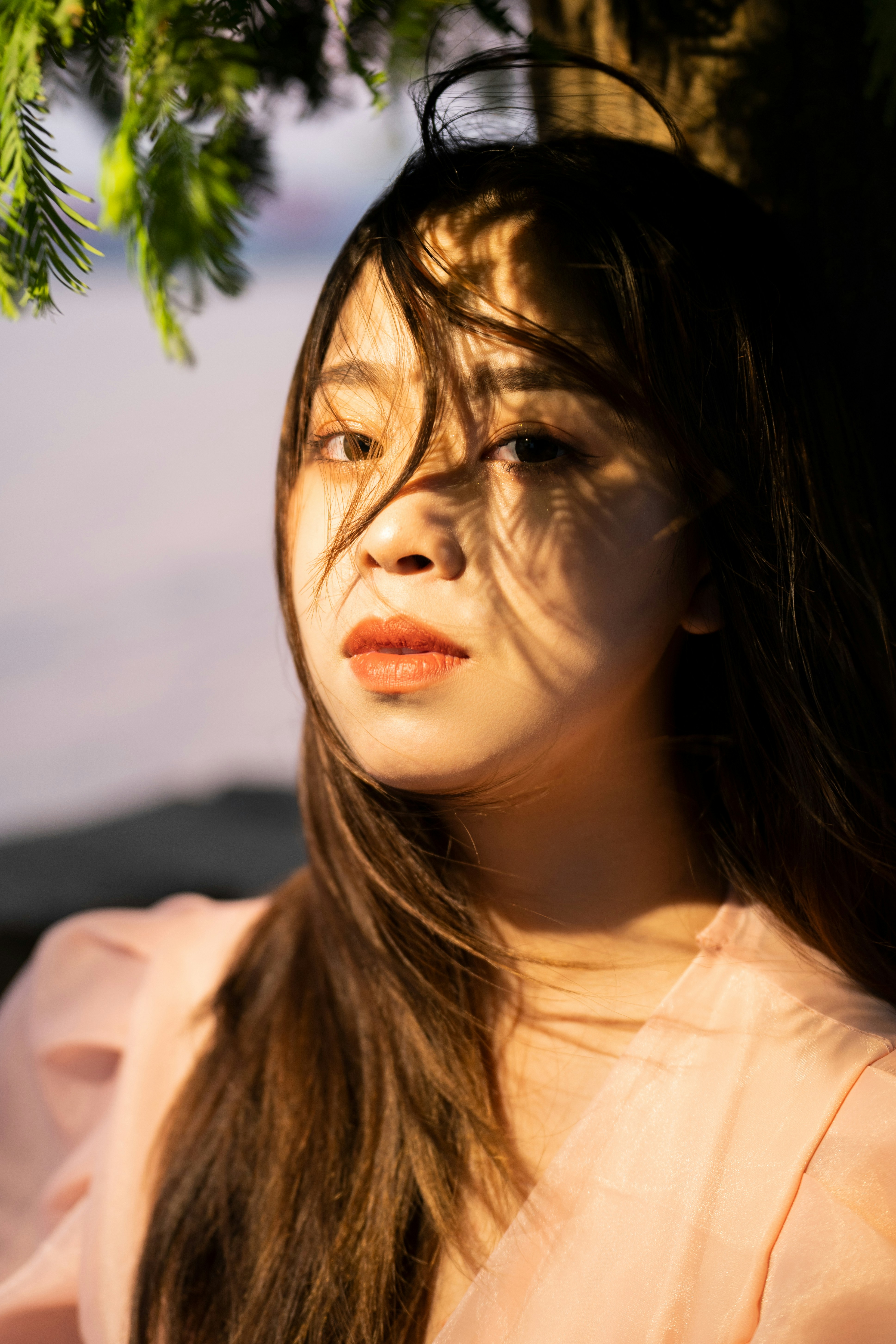 Photo by wangsheeran