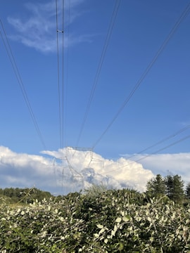 A landscape with tall electricity pylons stretching across the sky, surrounded by lush greenery and dense foliage. The backdrop features a clear blue sky with scattered white clouds.