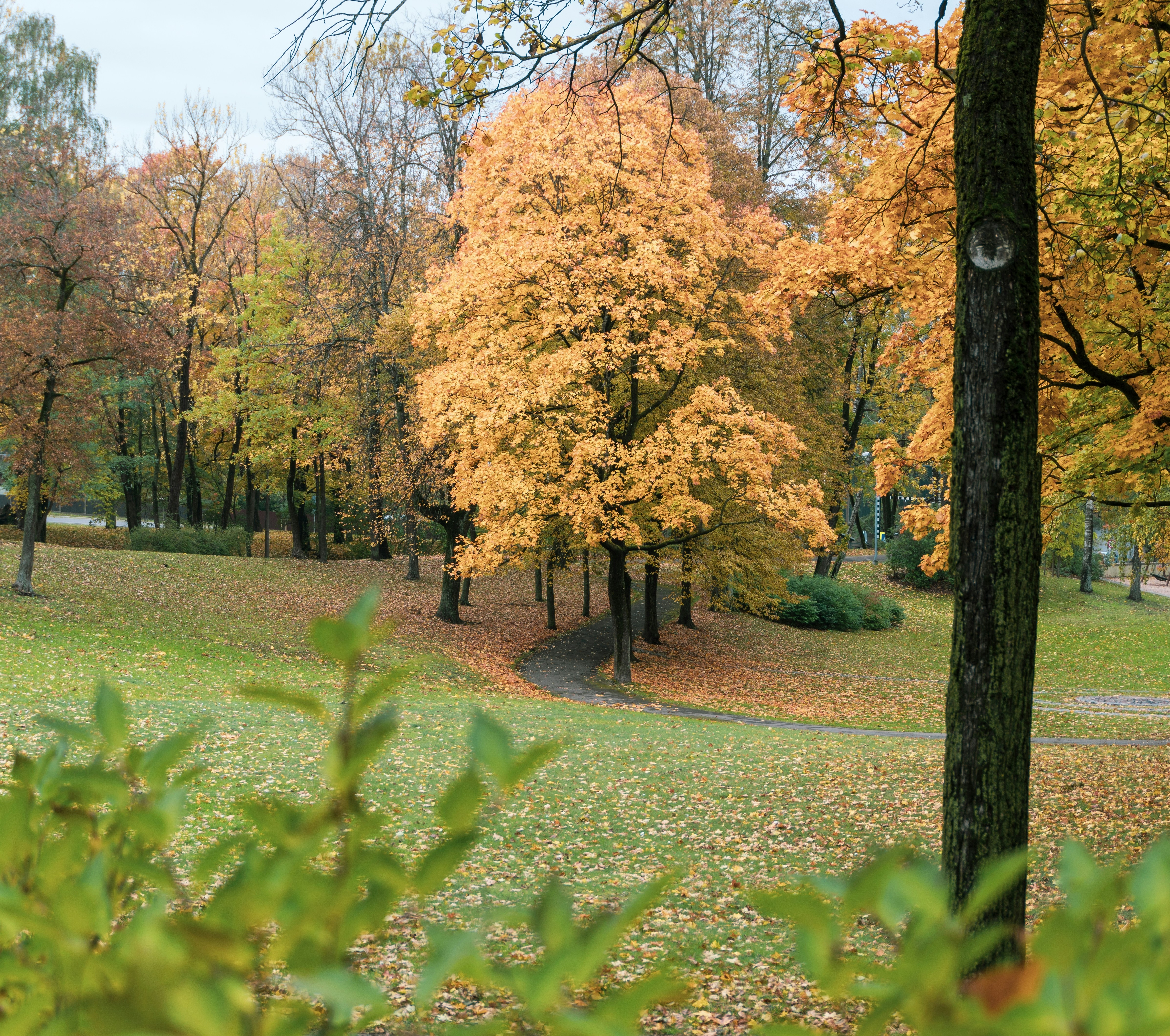 Image by Jevgeņijs Grigorjevs via Unsplash