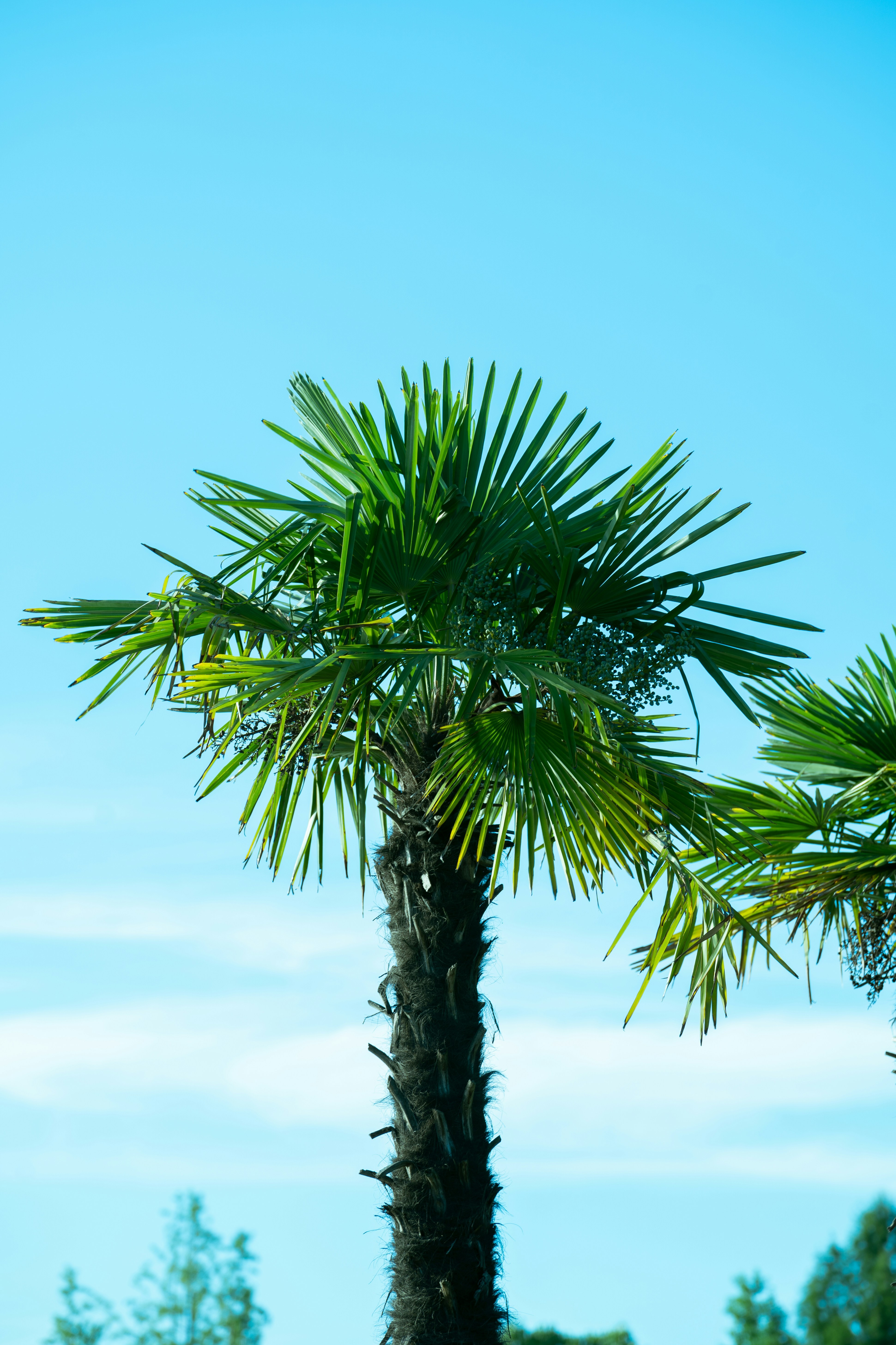 Photo by wangsheeran