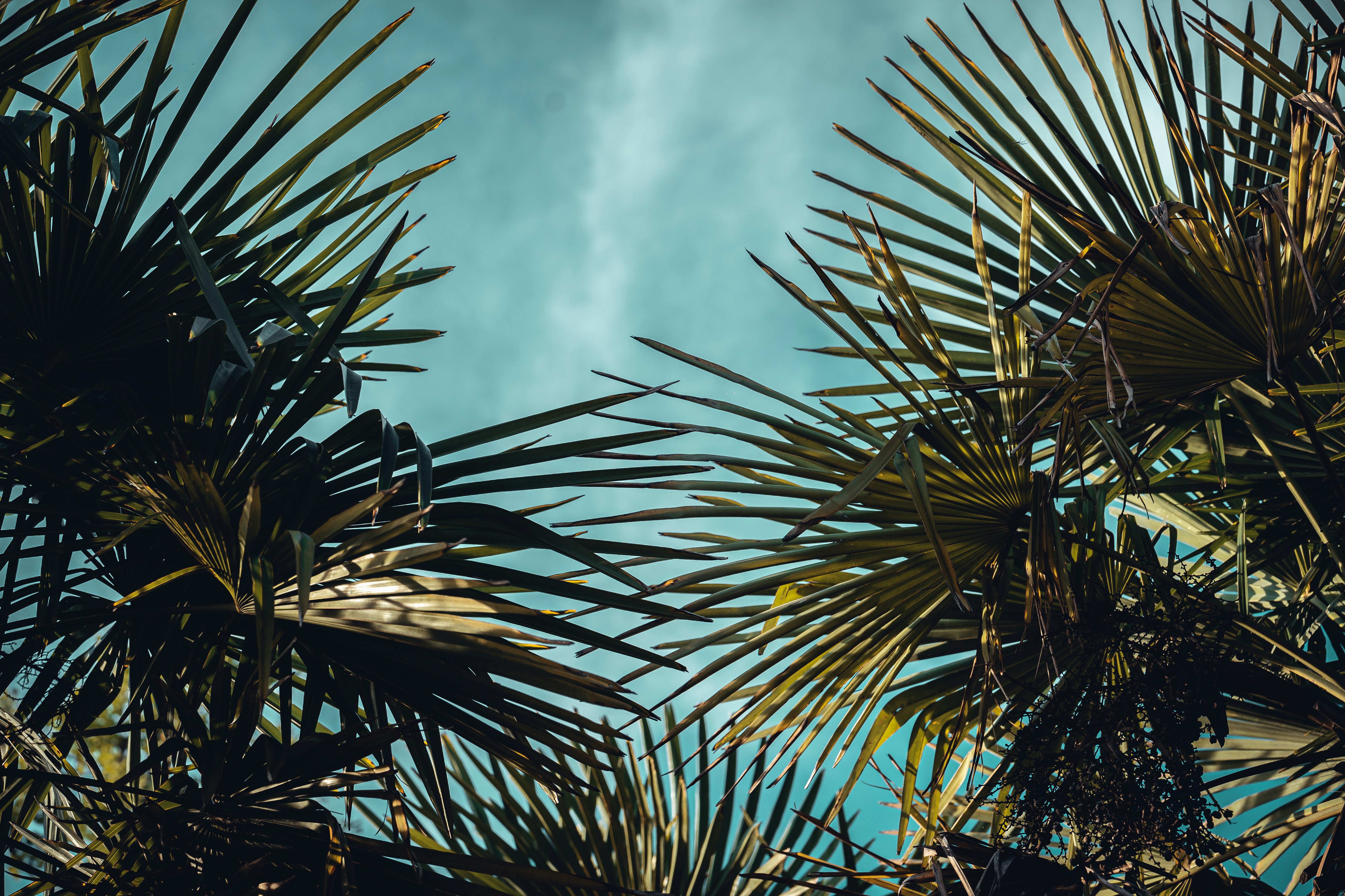 Photo by wangsheeran