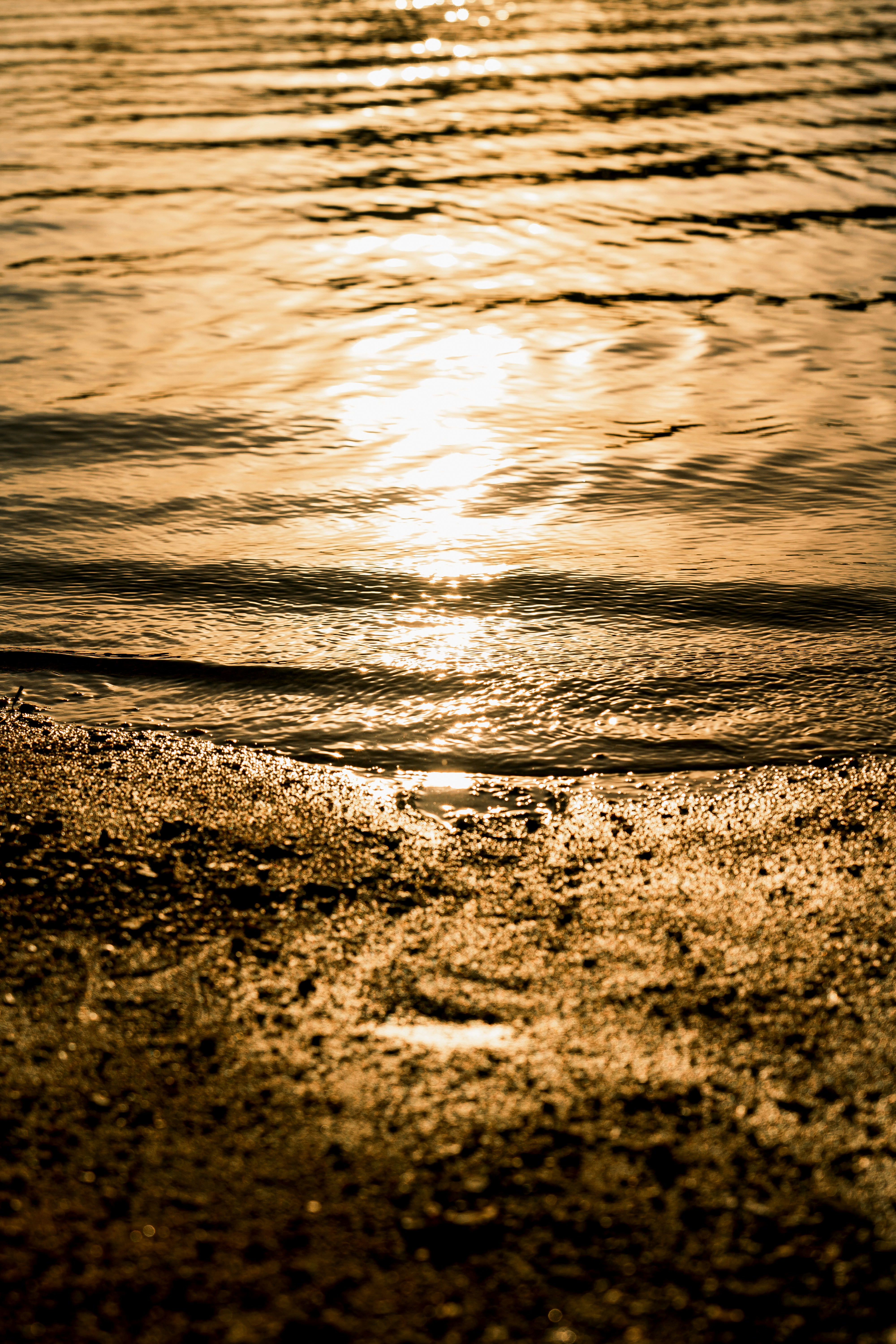 Photo by wangsheeran