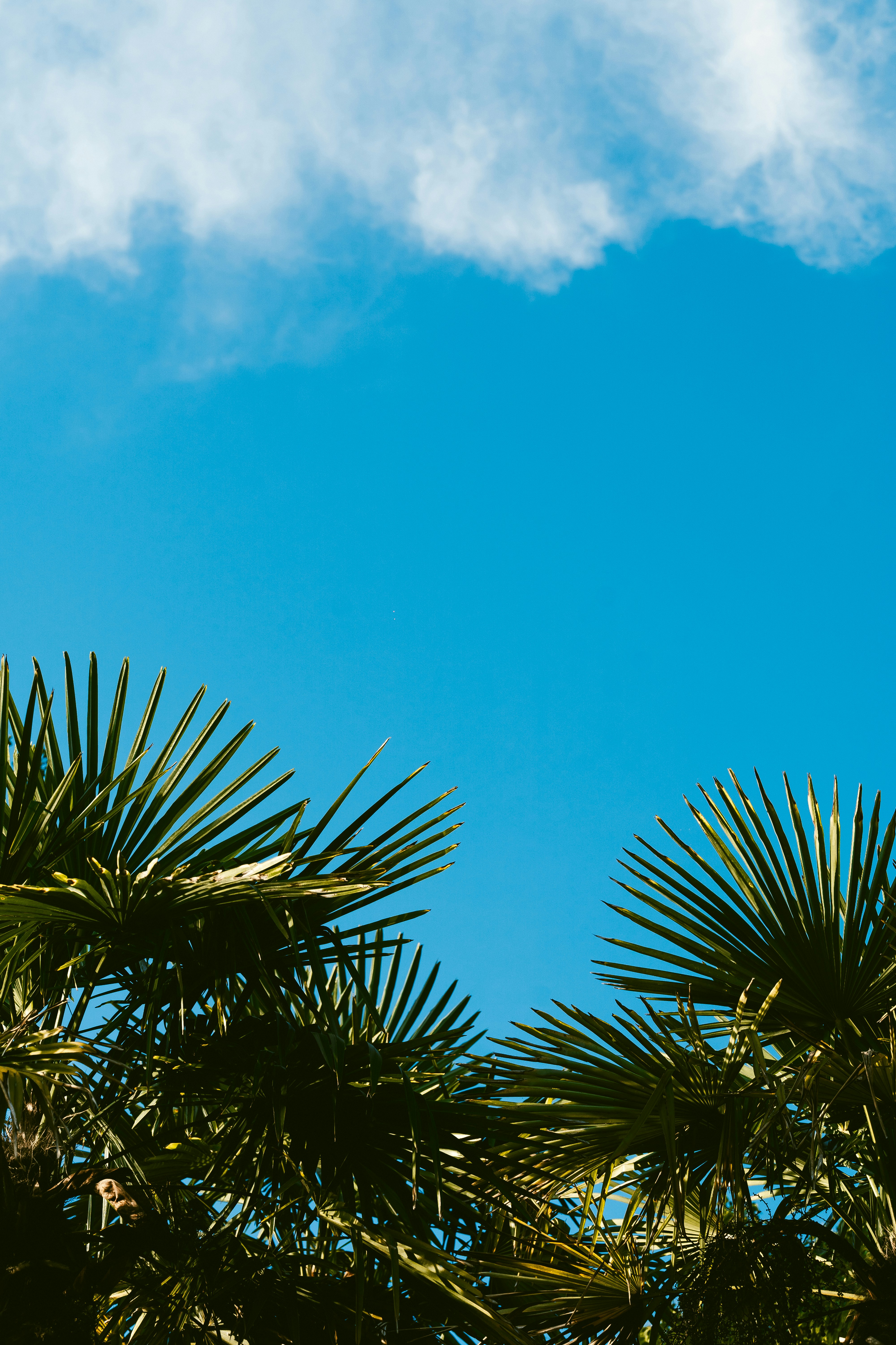 Photo by wangsheeran