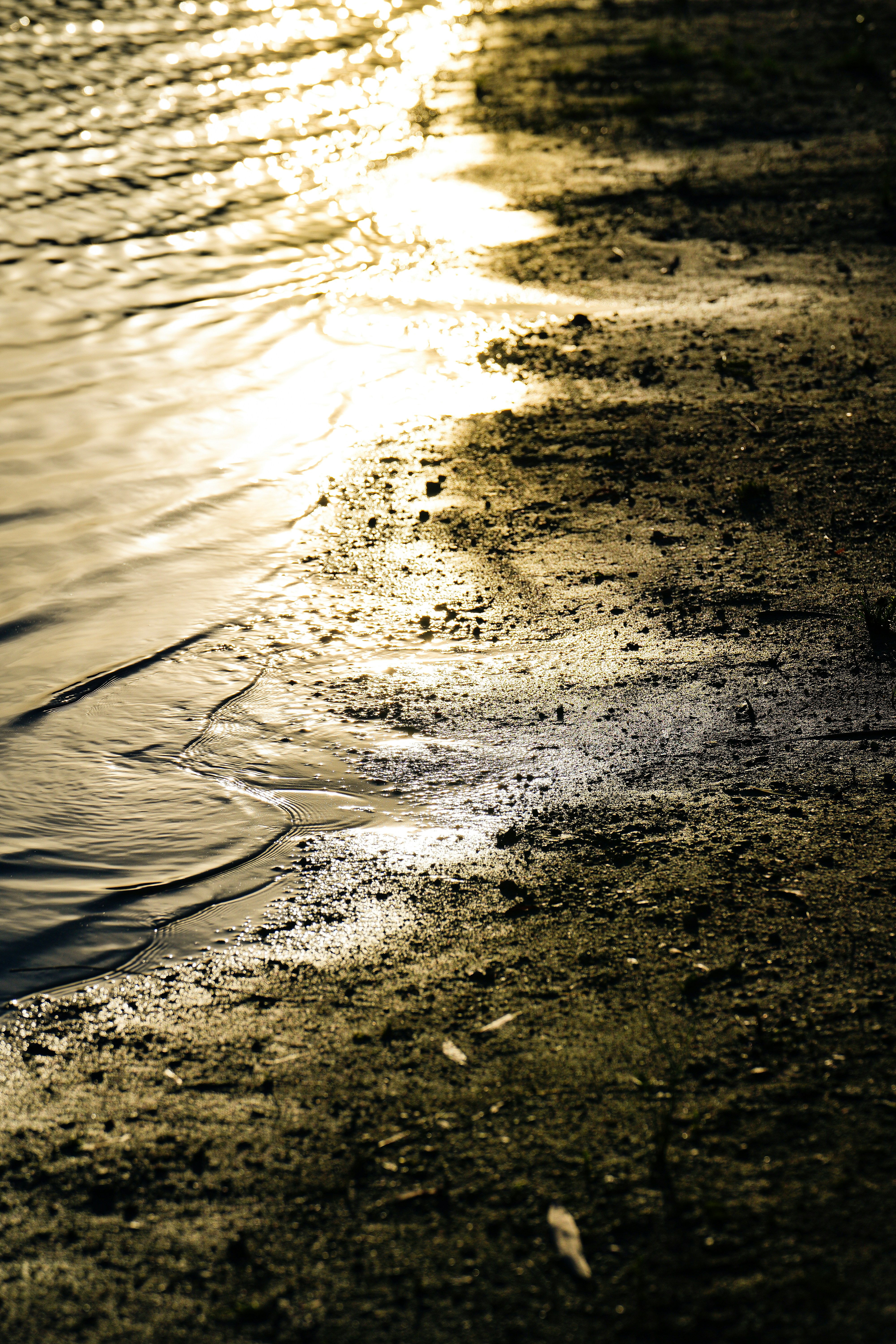 Photo by wangsheeran