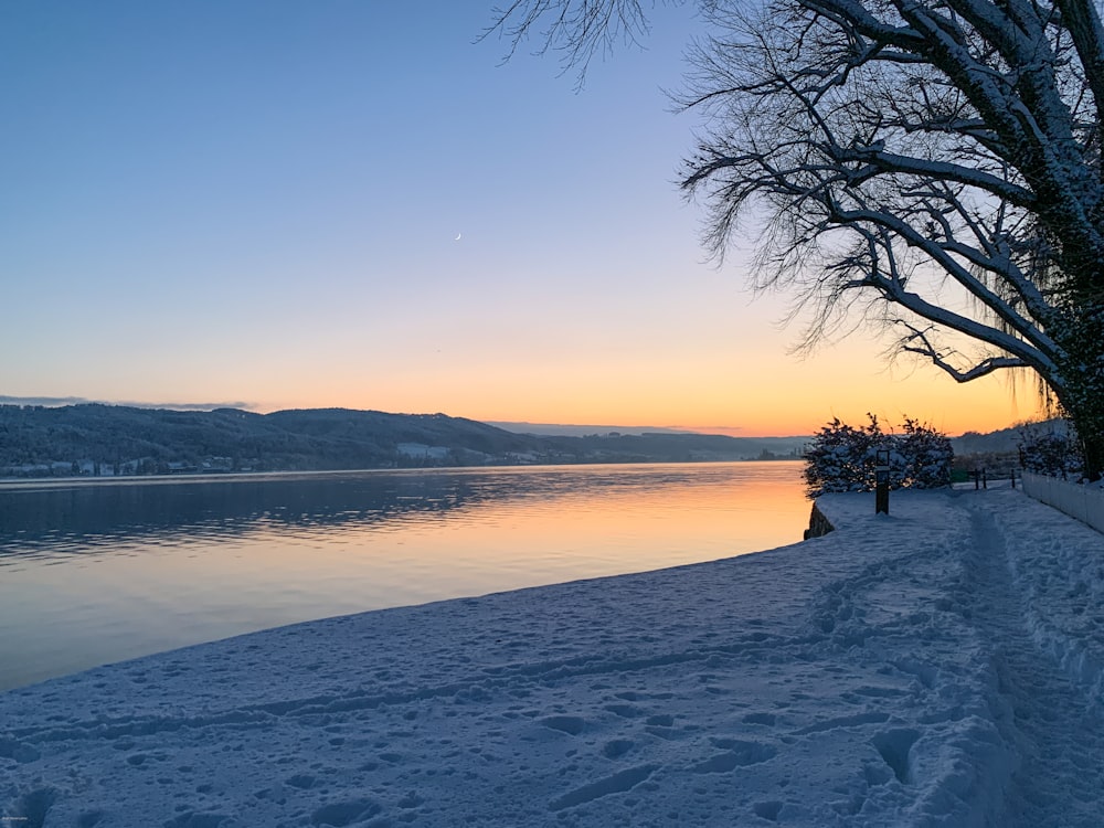 a snow covered beach next to a body of water