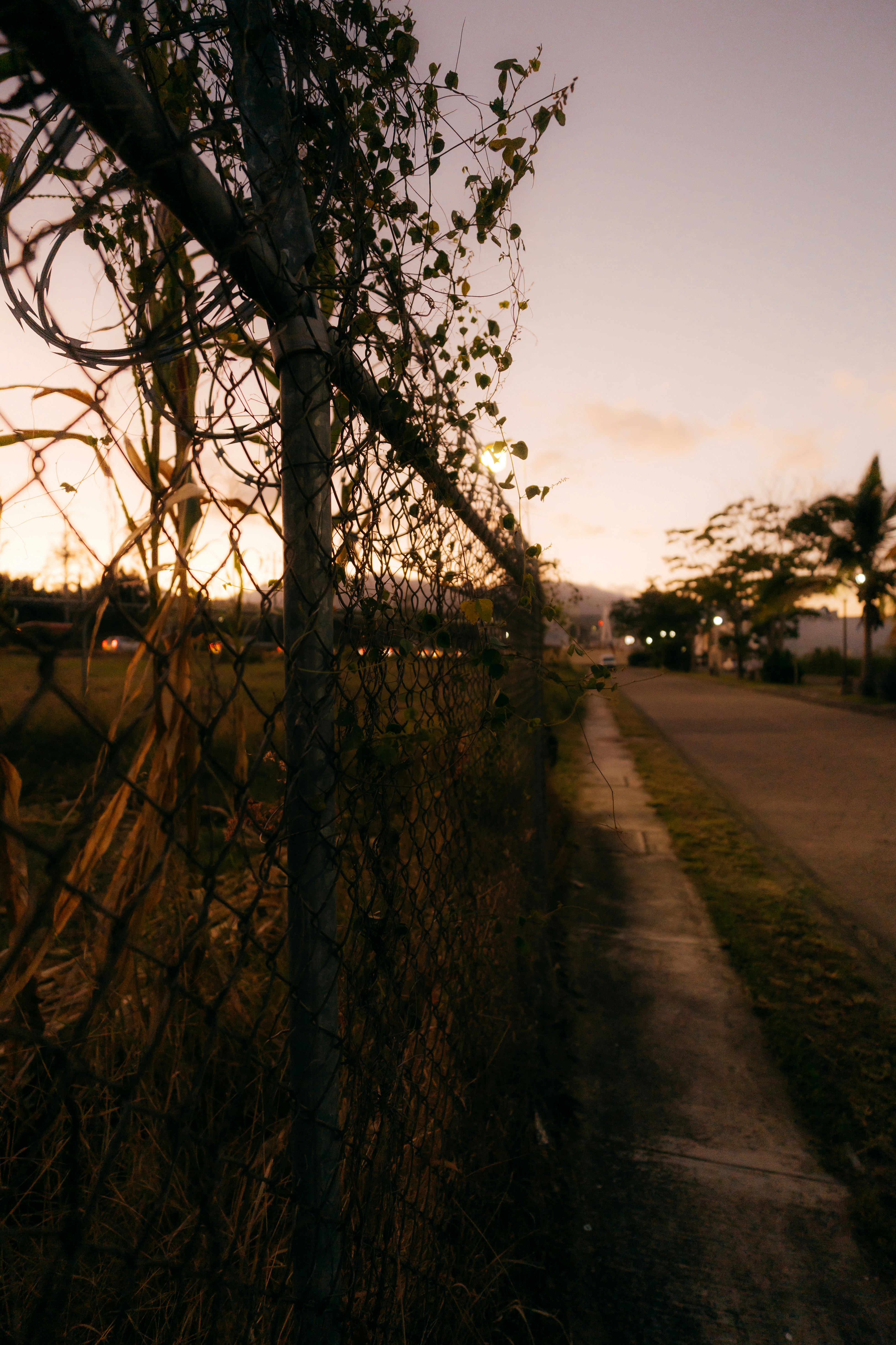 Photo by jonathecreator