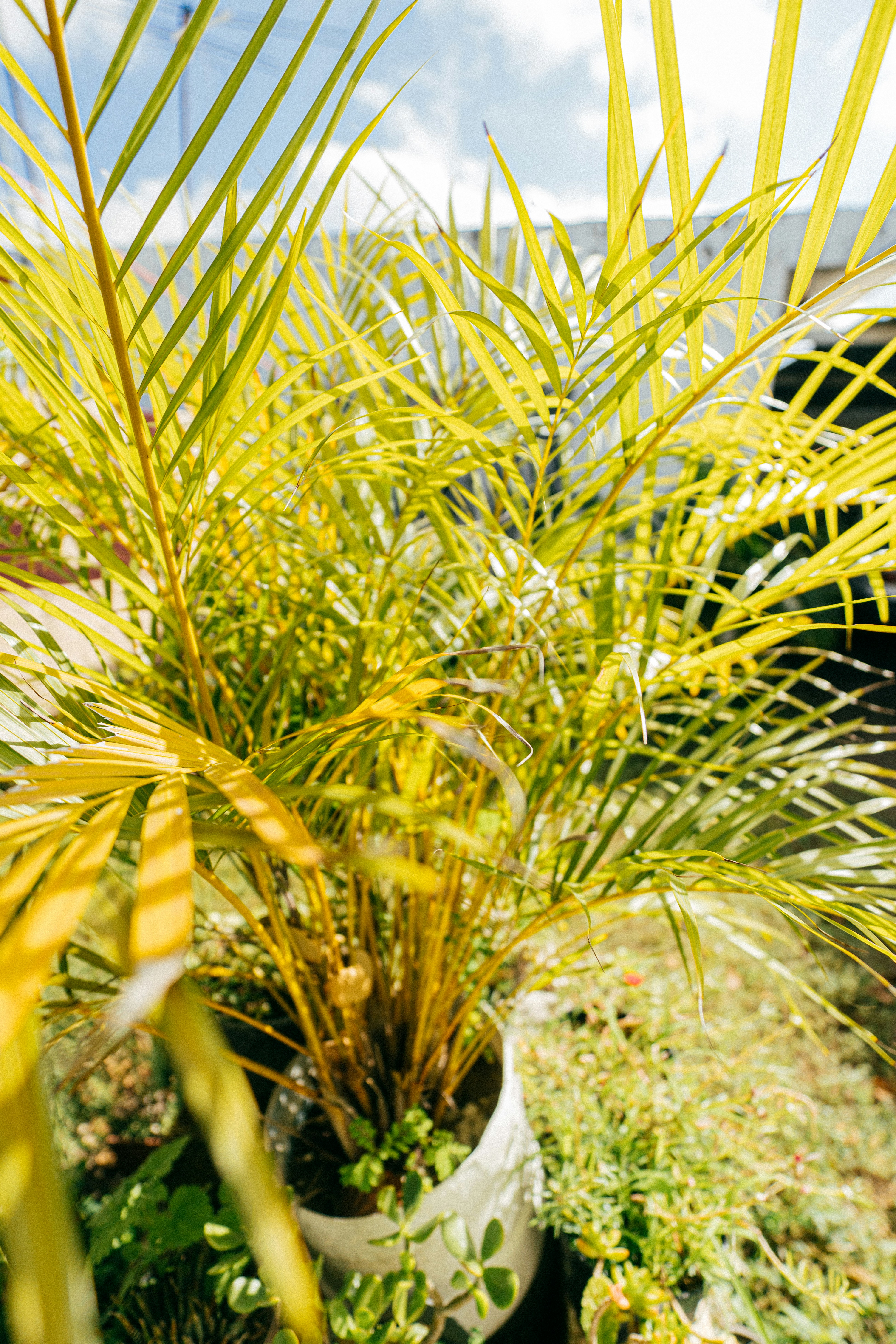 Photo by jonathecreator