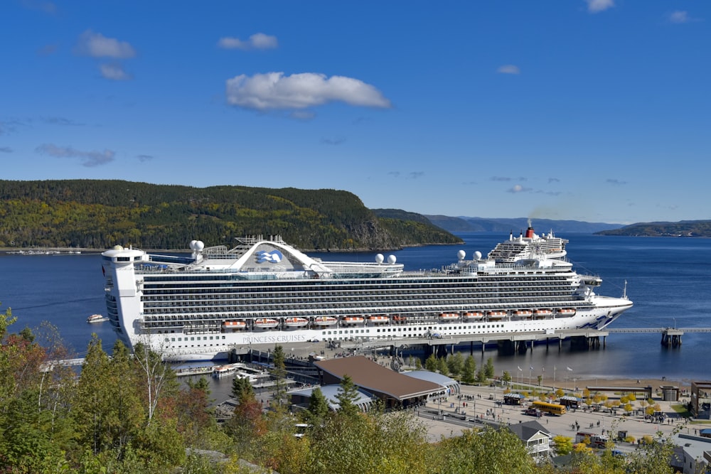 a cruise ship docked at a dock in the water