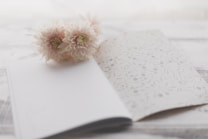 A soft-focused and serene composition featuring an open white notebook or card with delicate floral patterns on one page, lying on a light-colored, textured surface. Three pale pink flowers with soft petals and green centers are placed on top of the notebook, creating a gentle and inviting scene.