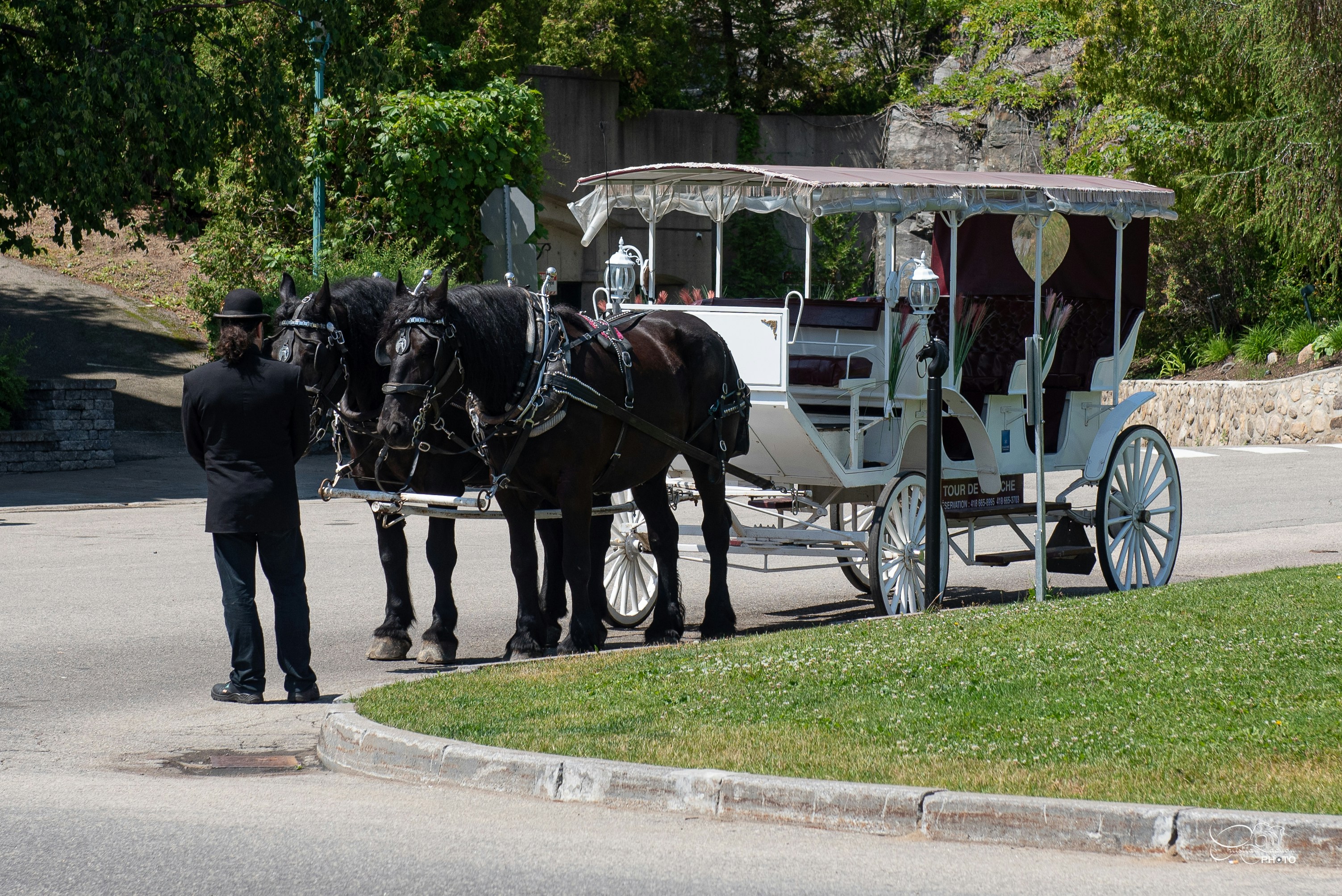 a man standing next to a horse drawn carriage