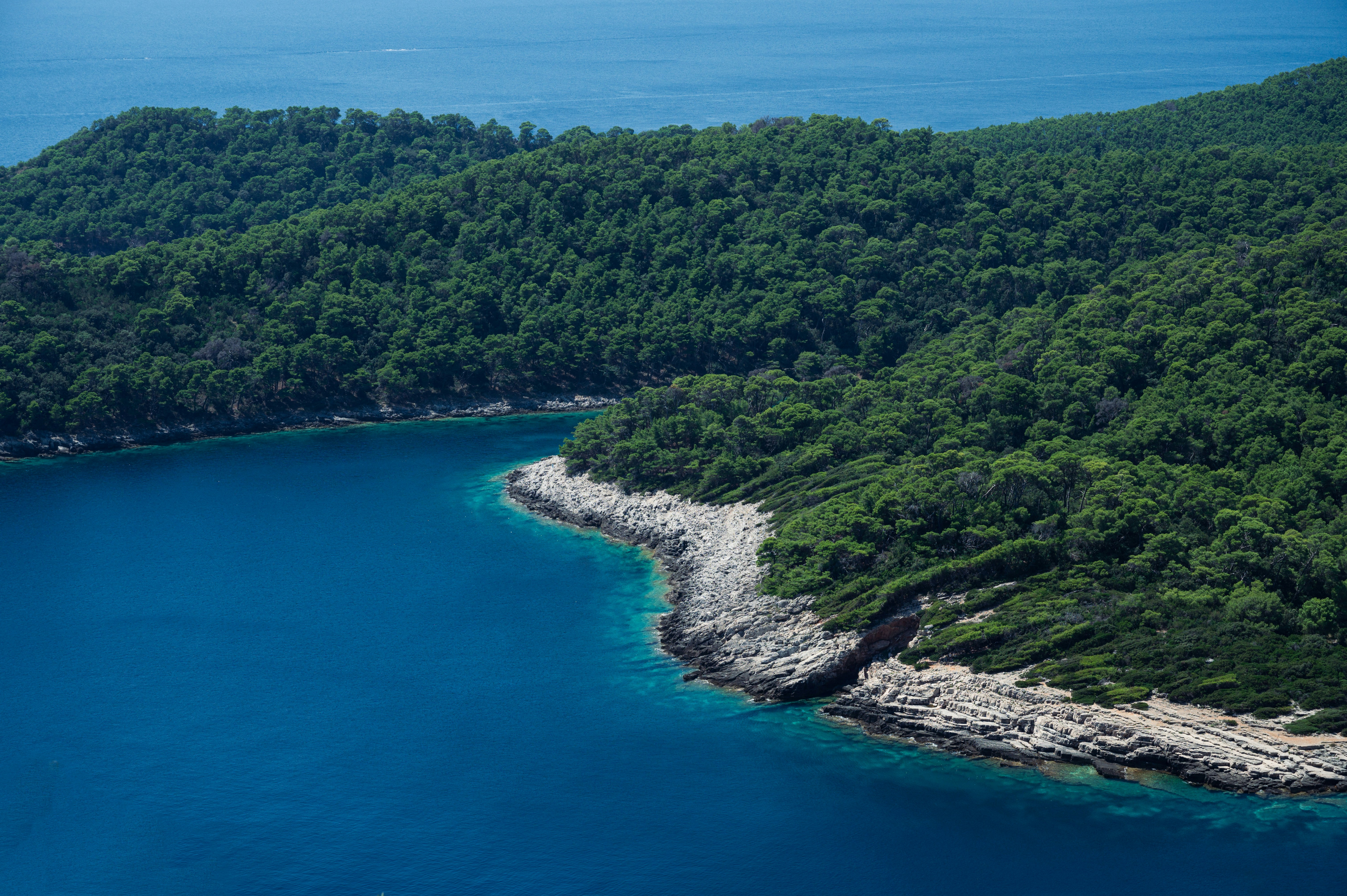a large body of water surrounded by trees