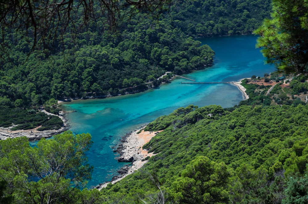 a view of a river surrounded by trees