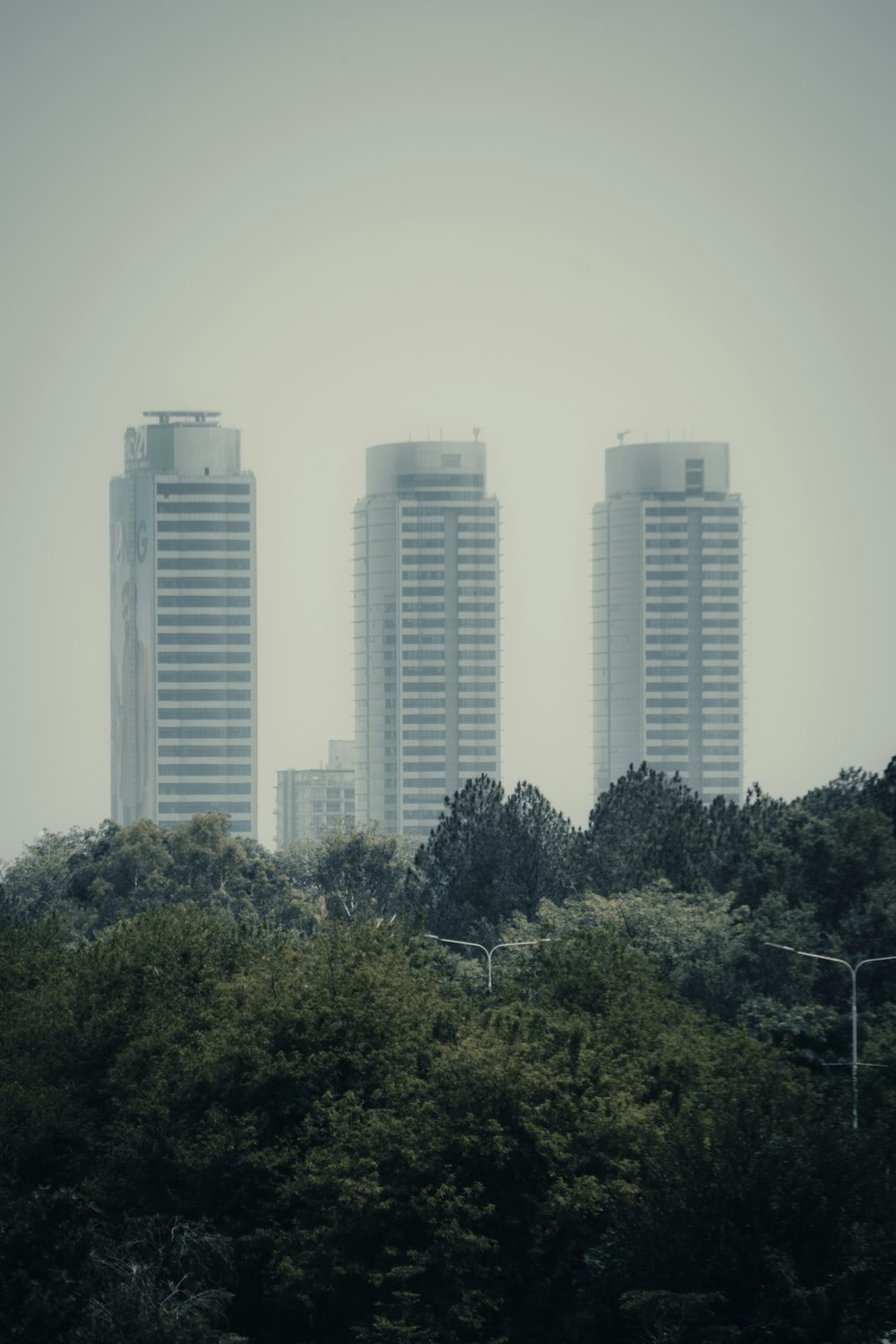 배경에 고층 건물이 있는 도시의 모습