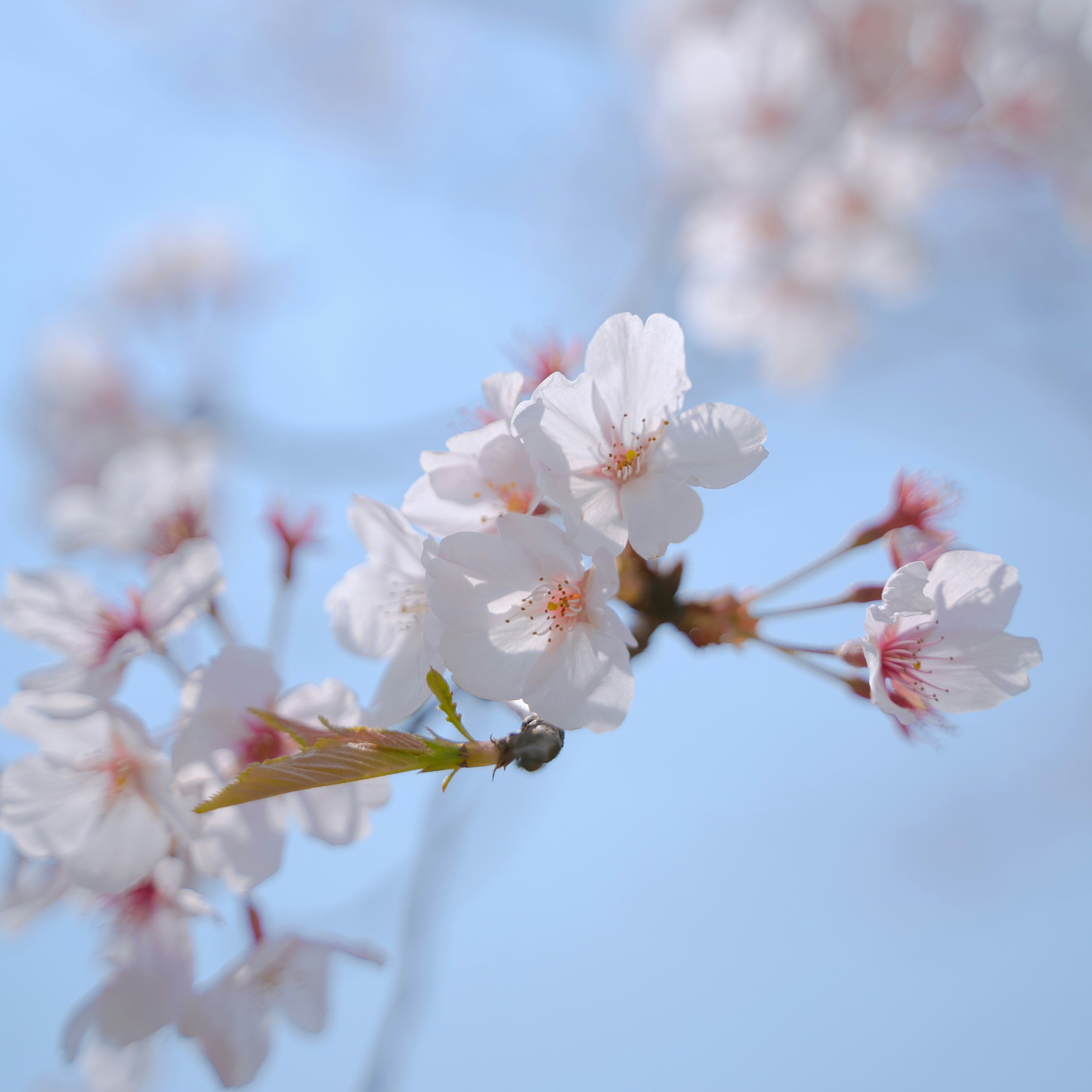 Photo by wangsheeran