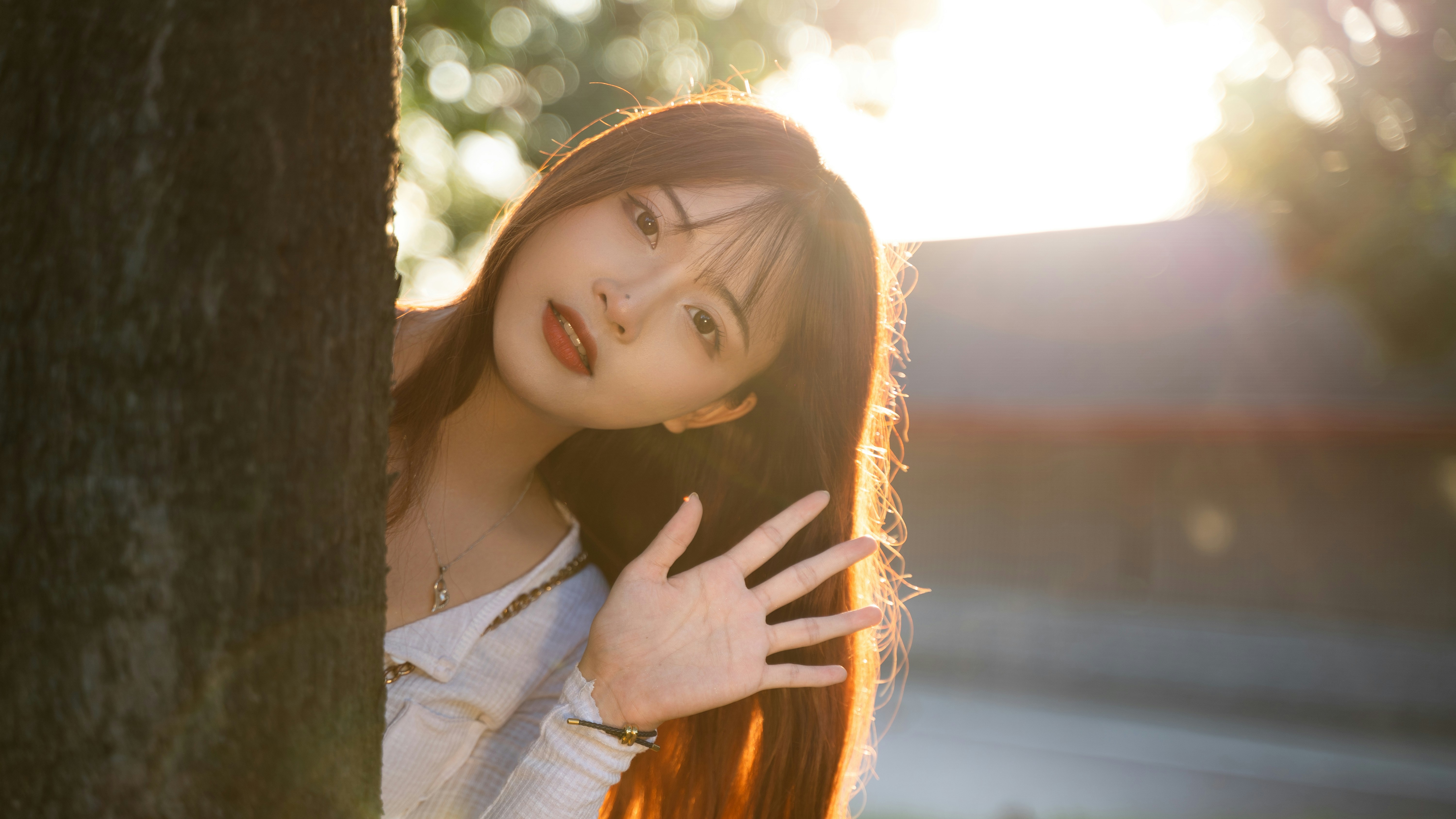 Photo by wangsheeran