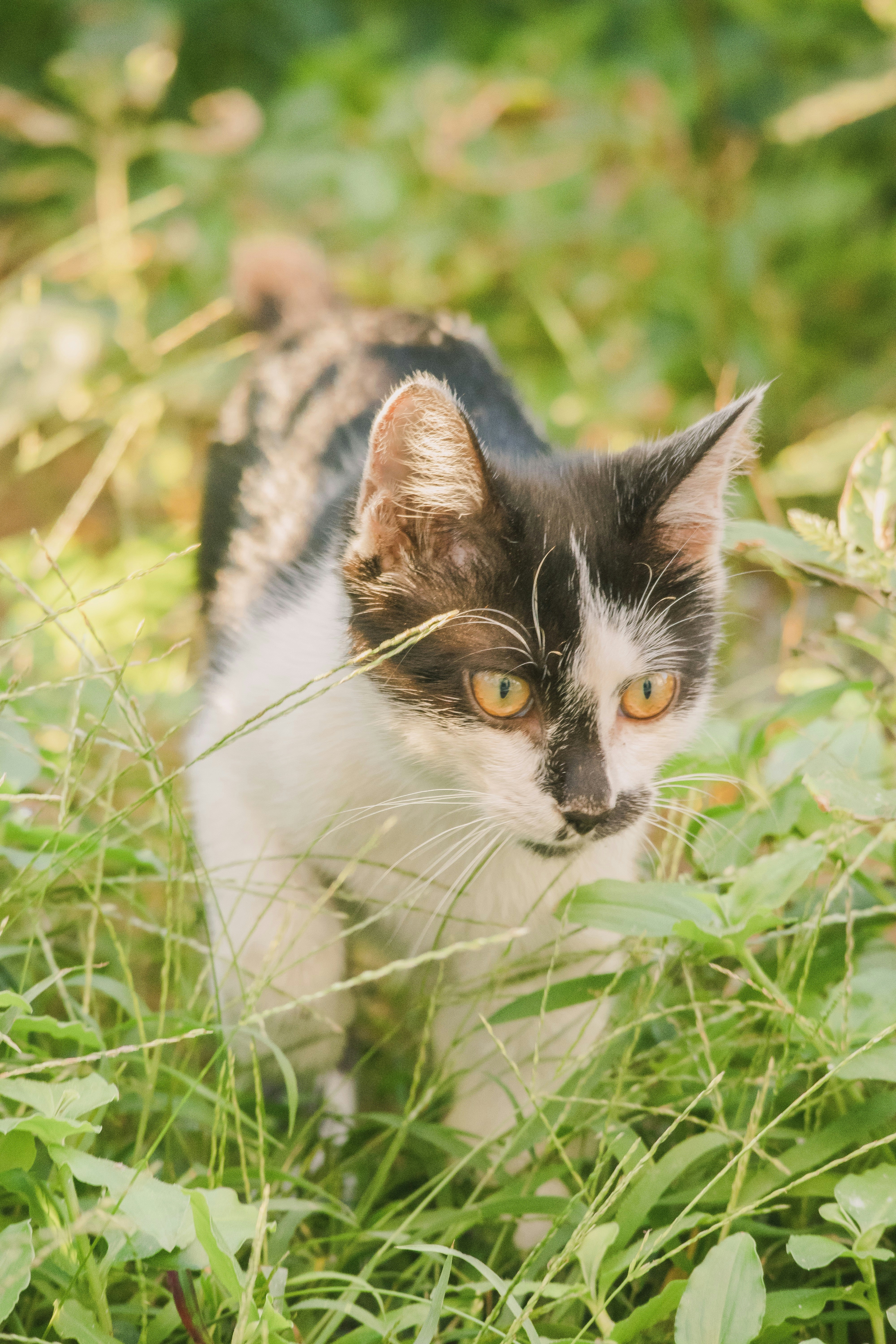 Photo by wangsheeran