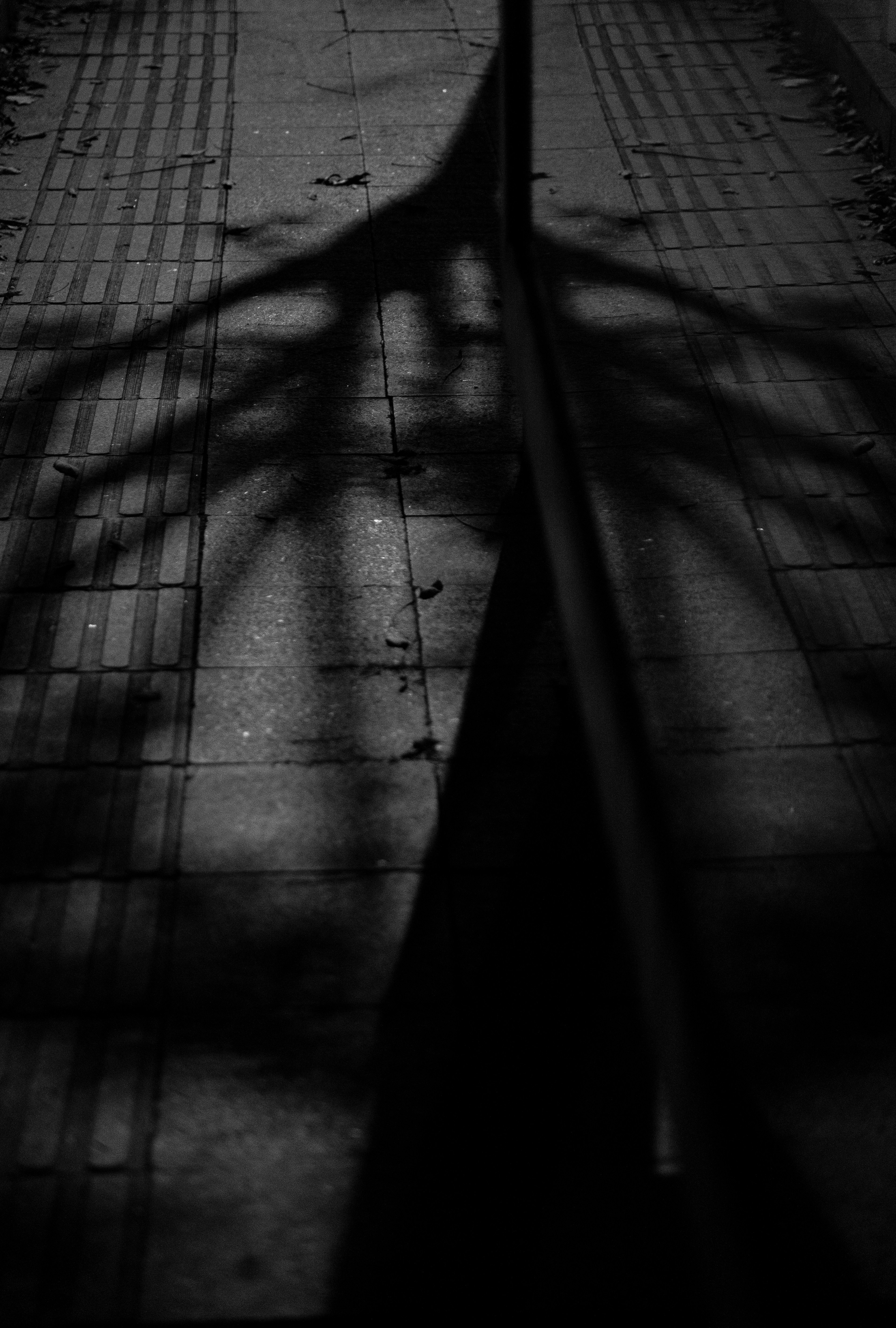 Photo by wangsheeran