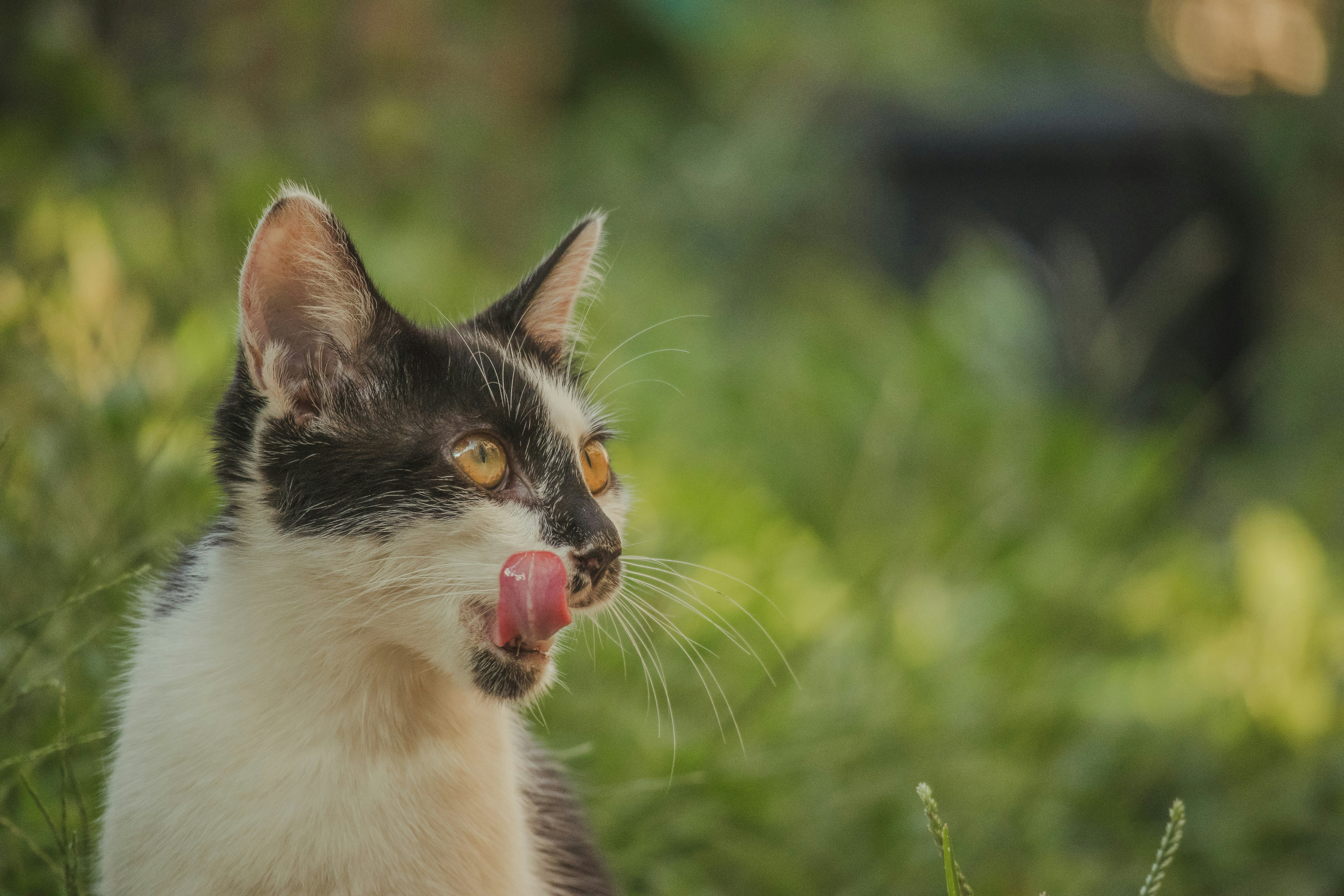 Photo by wangsheeran