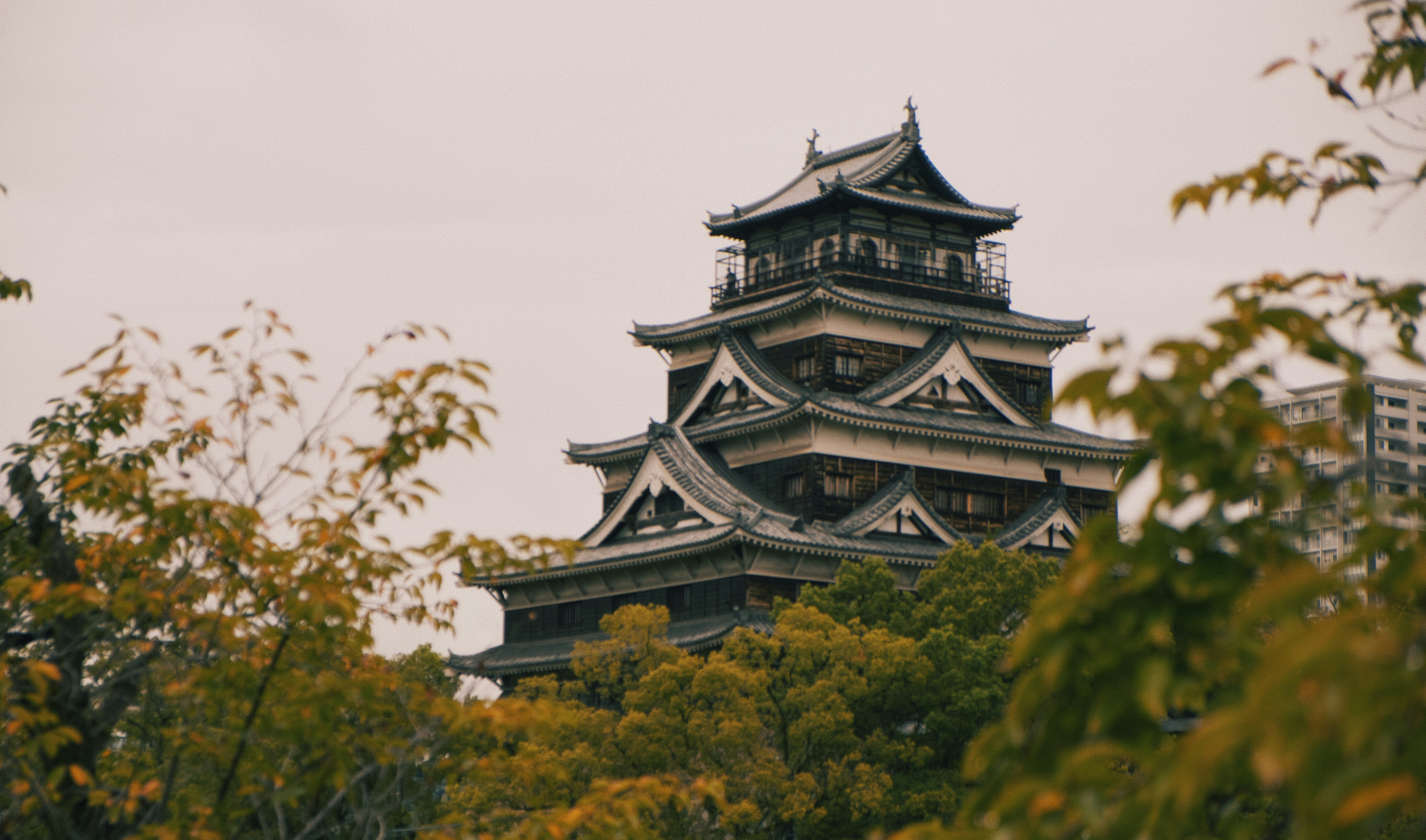 Photo by moritz_photography