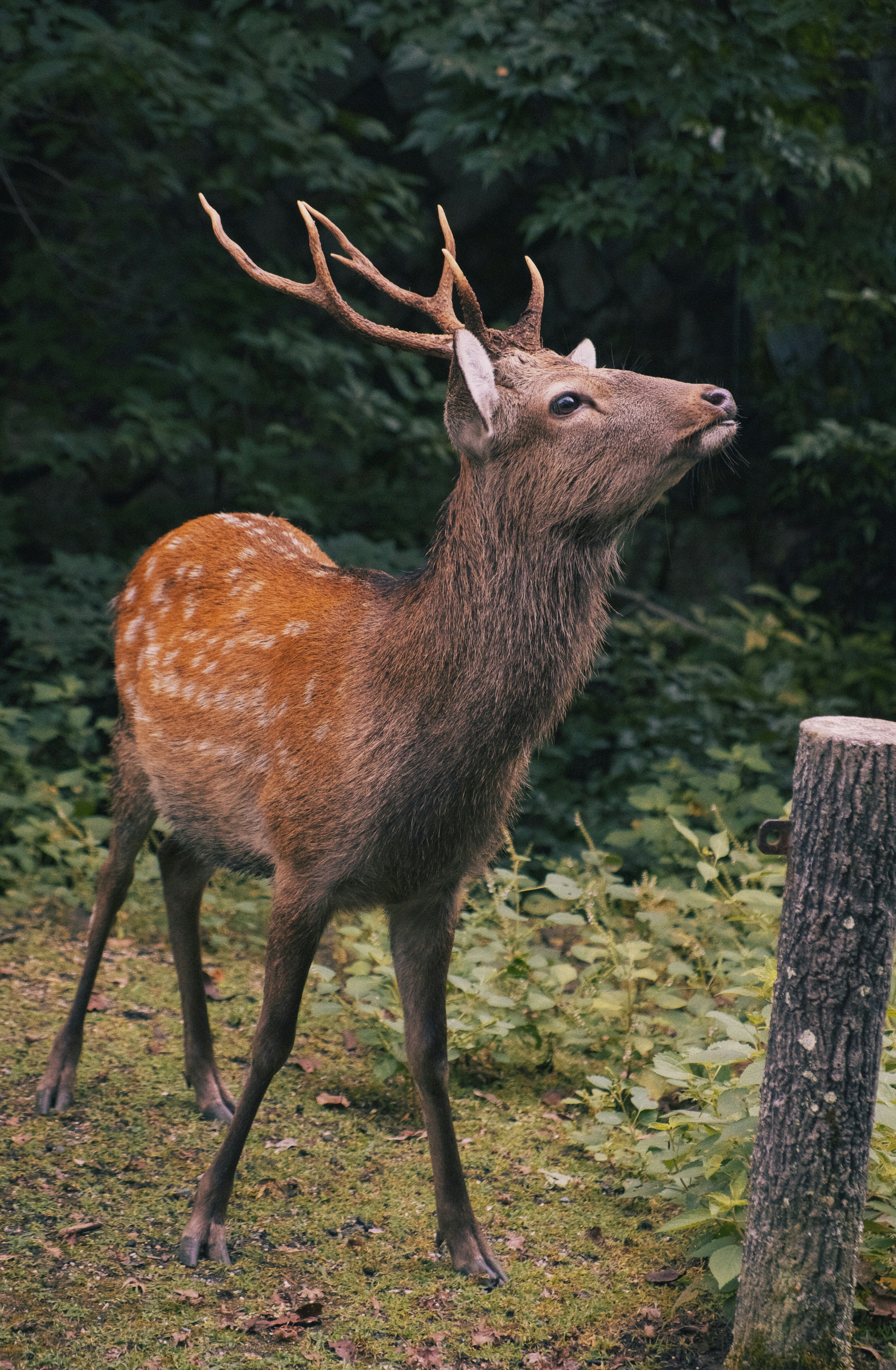 Photo by moritz_photography