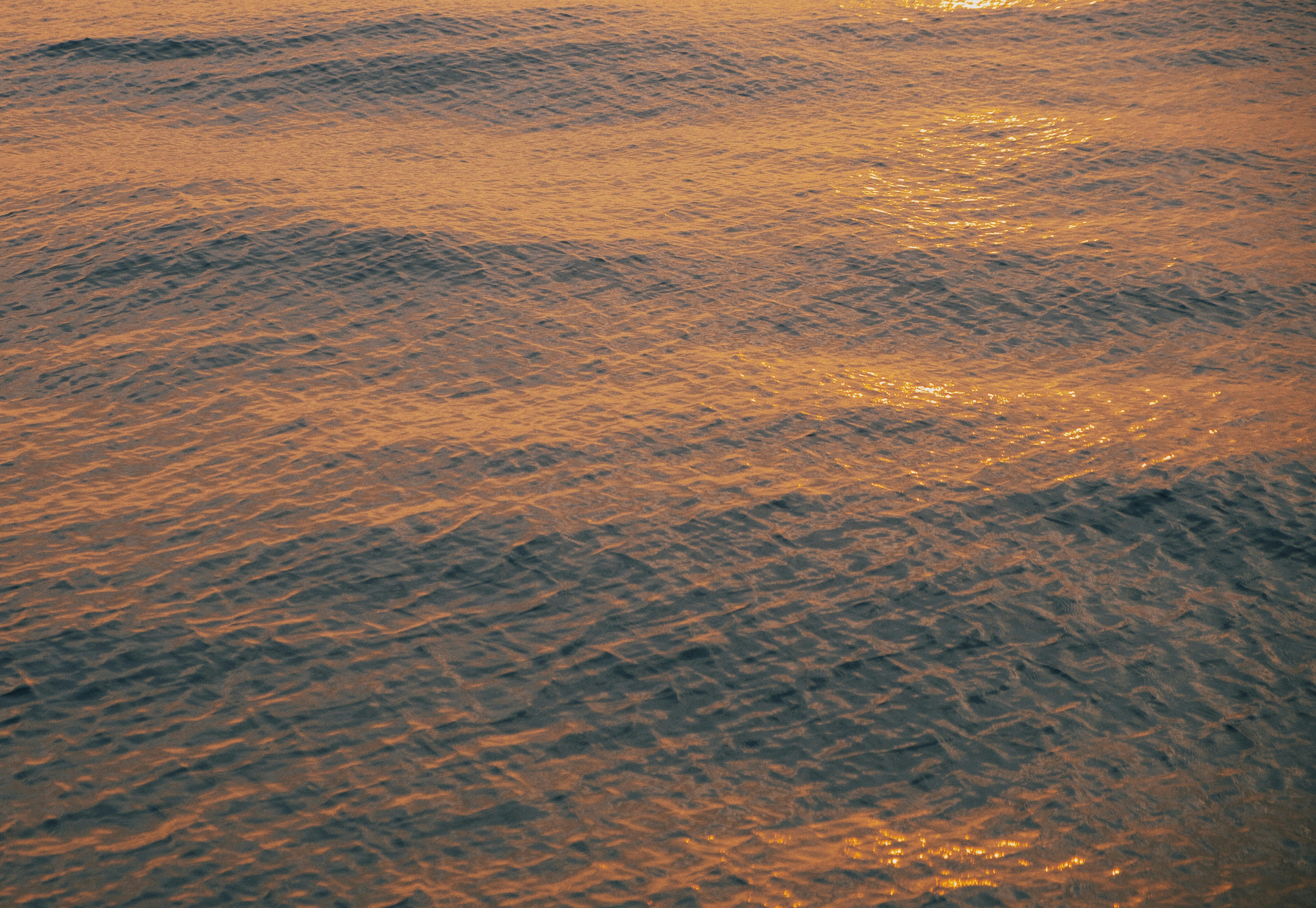 Photo by moritz_photography