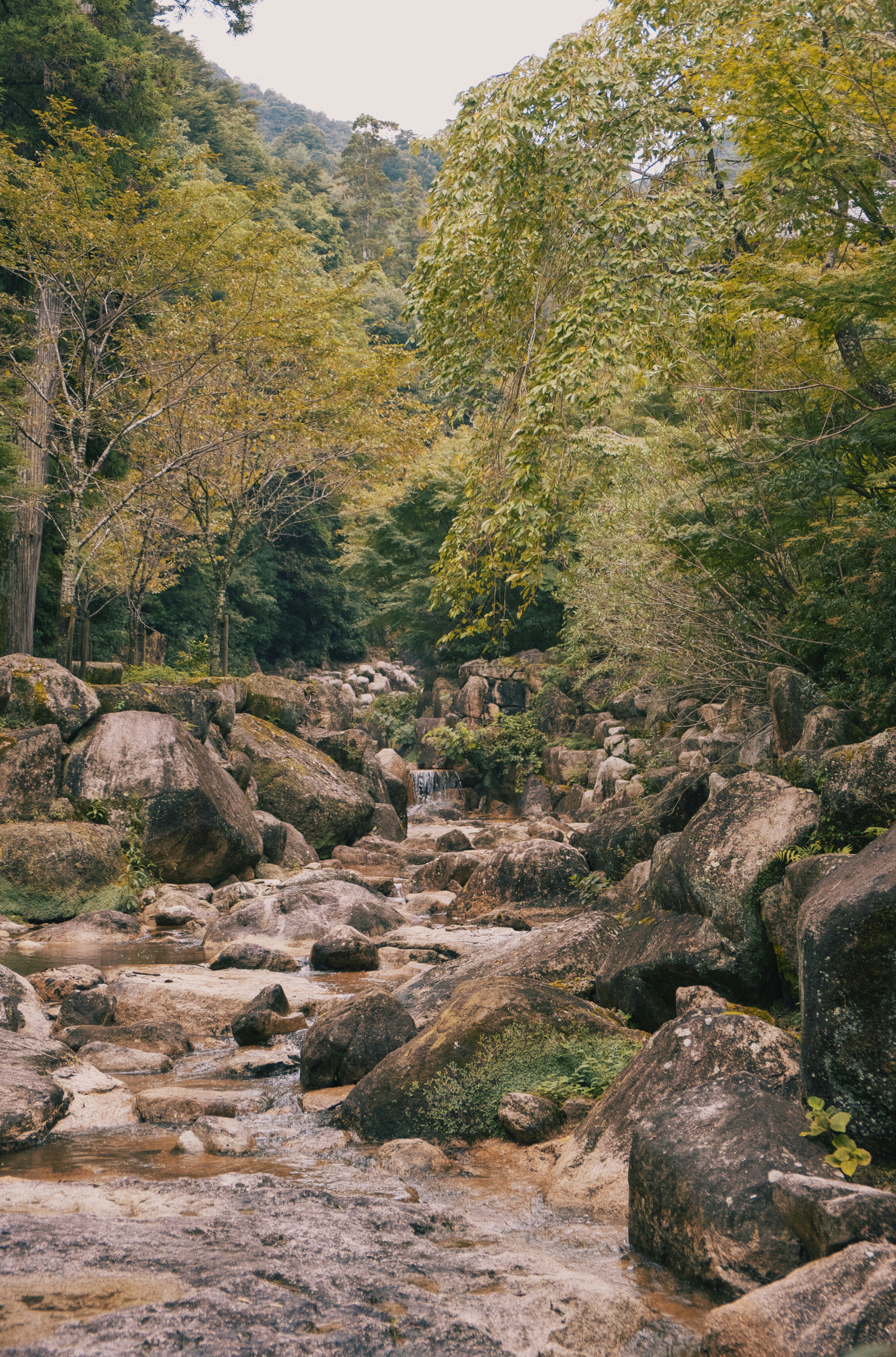 Photo by moritz_photography