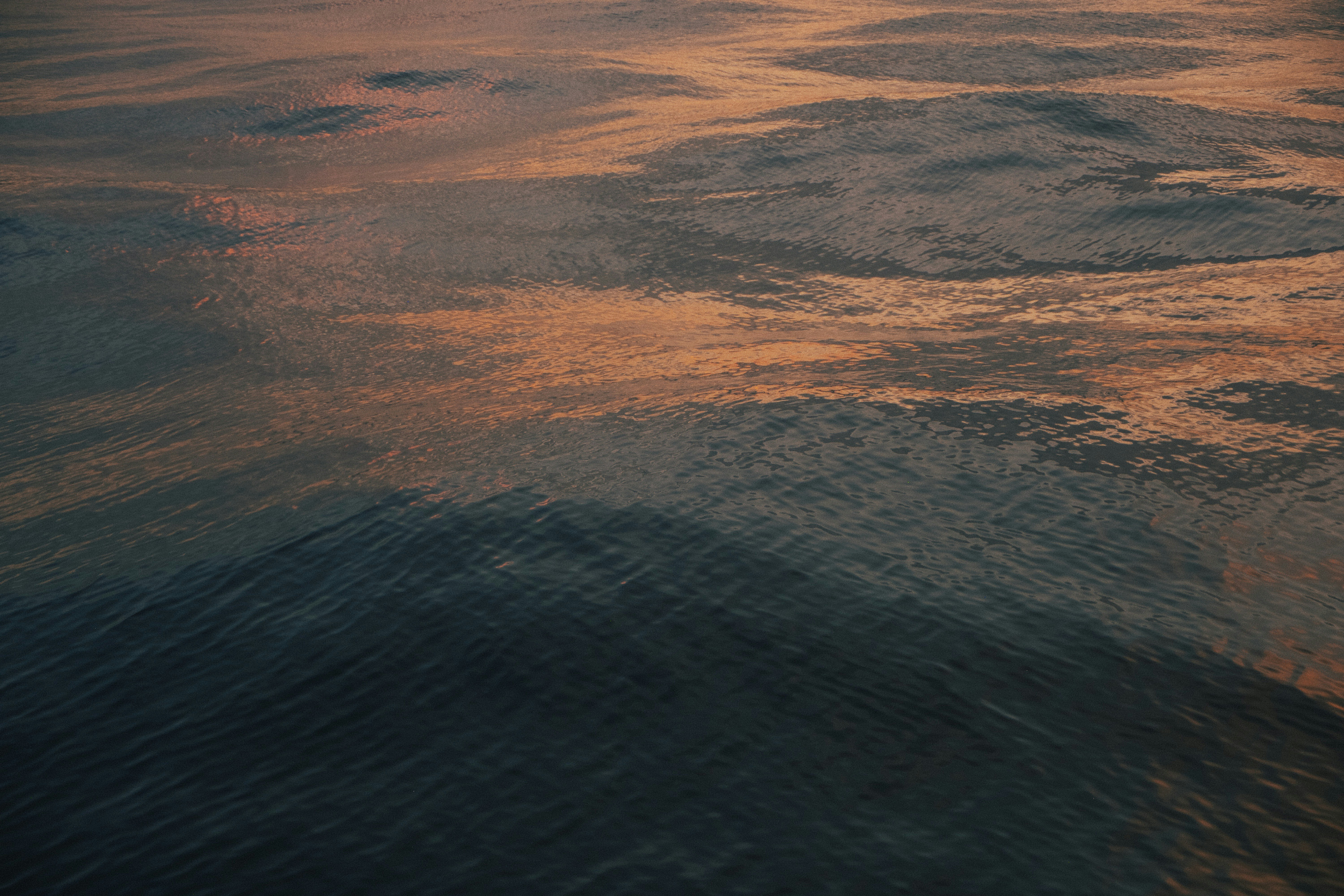 Photo by moritz_photography