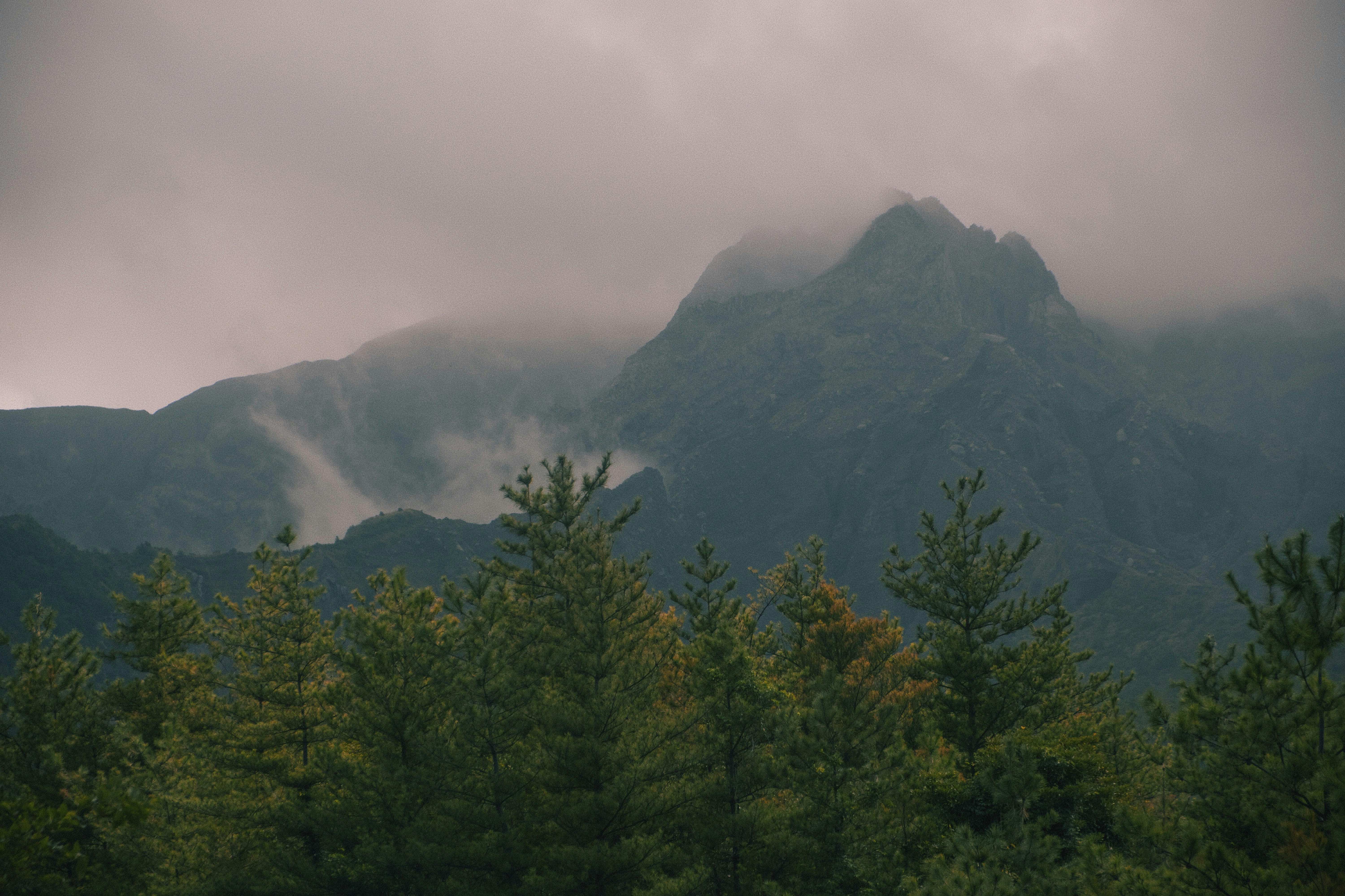 Photo by moritz_photography