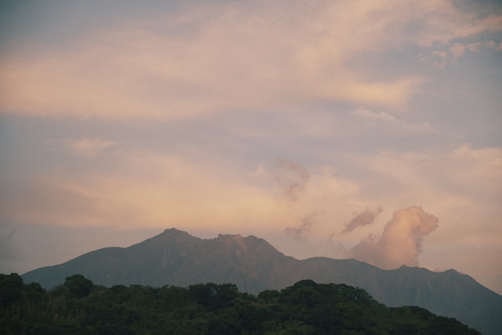 a view of a mountain range with trees in the foreground