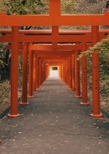 A serene view of Kyoto's iconic red torii gates winding through a lush forest.