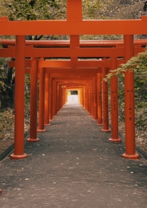 A serene view of Kyoto's iconic red torii gates winding through a lush forest.