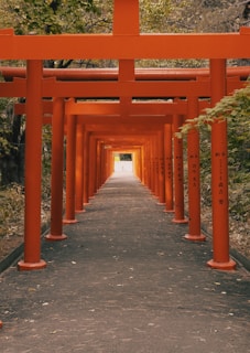 A serene view of Fushimi Inari Shrine's vibrant vermillion torii gates winding up the mountain trail.