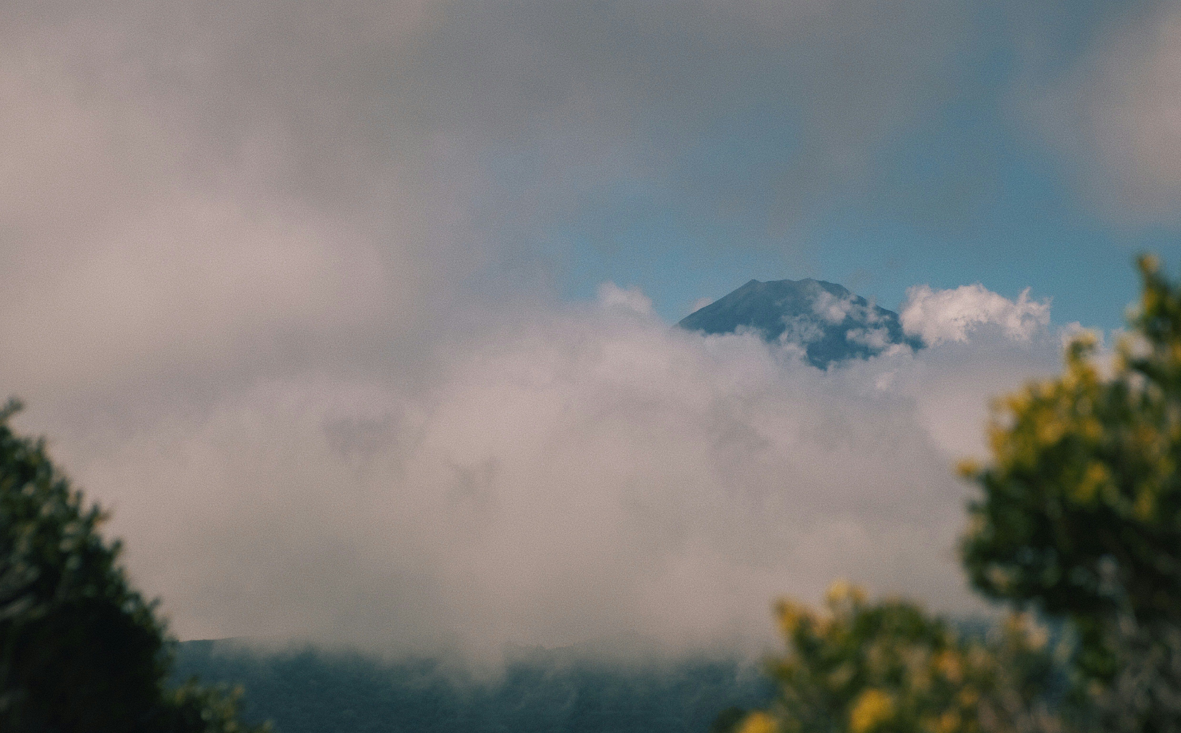 Photo by moritz_photography