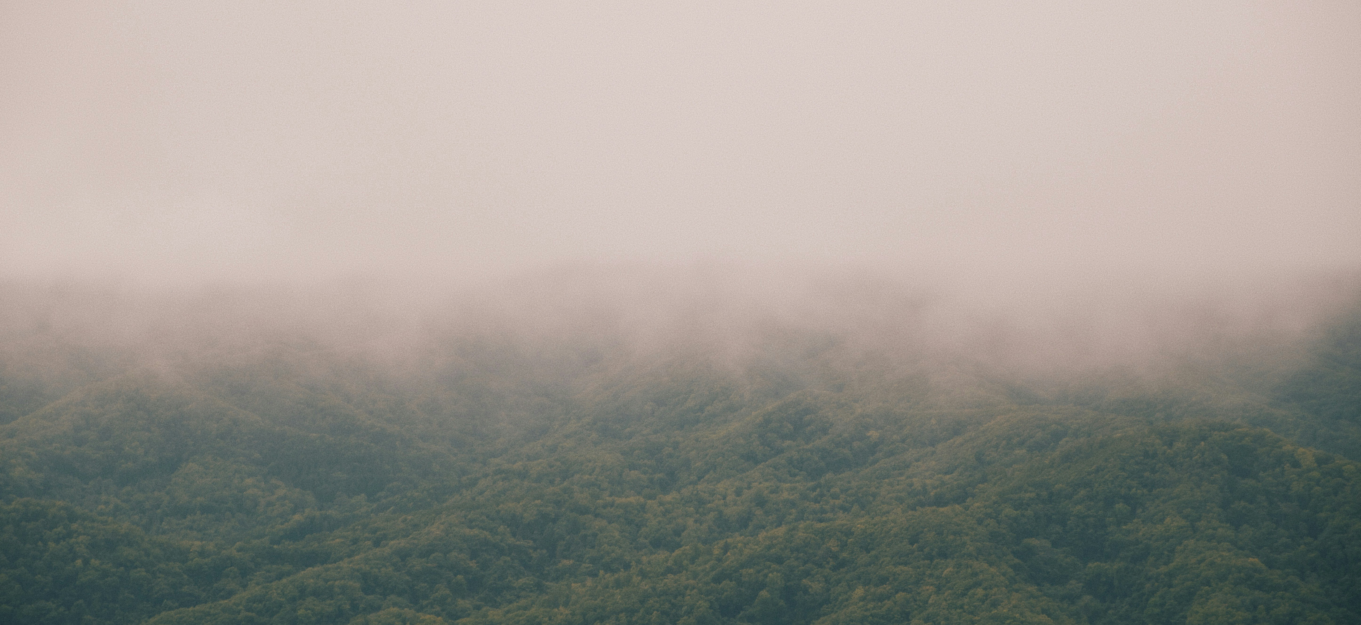 Photo by moritz_photography