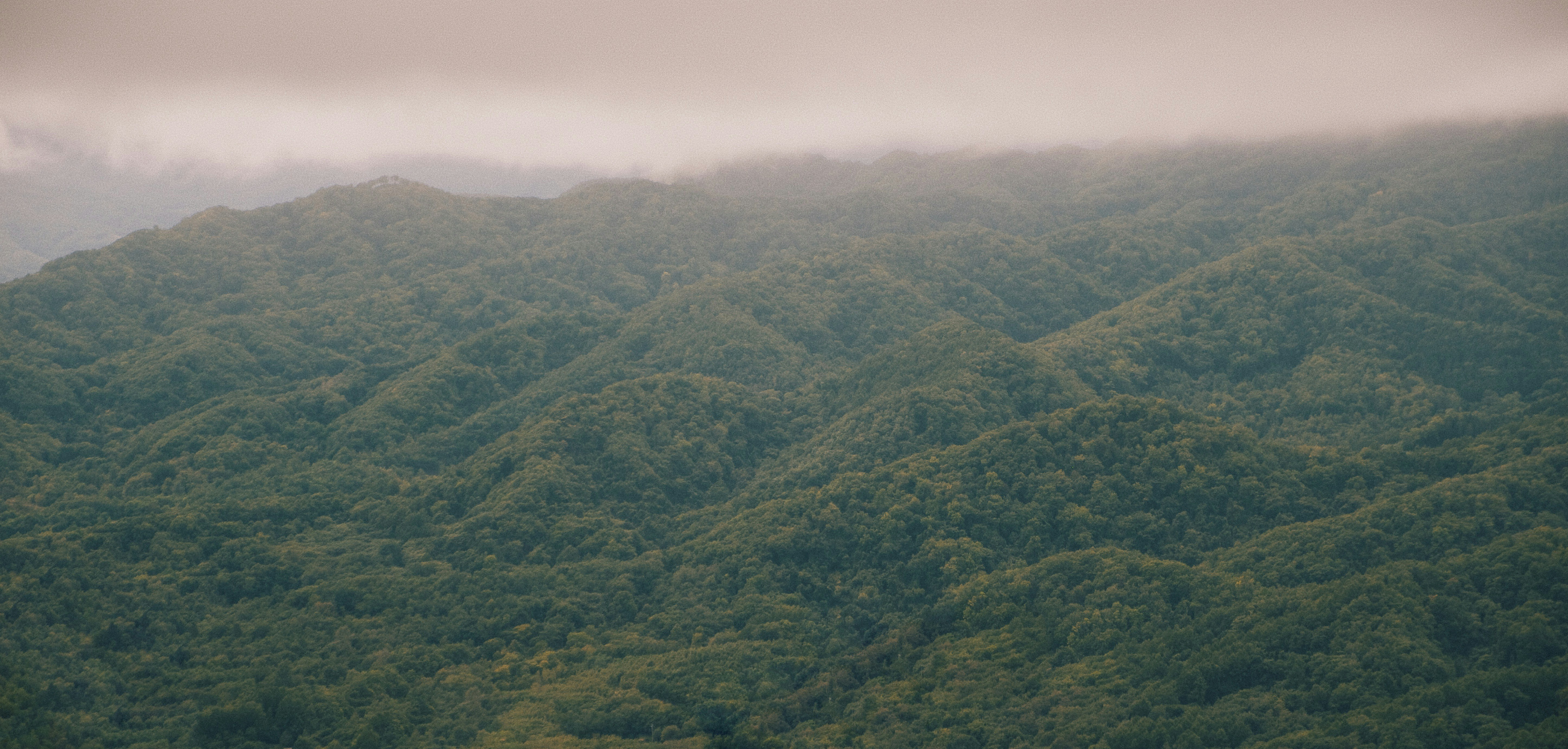 Photo by moritz_photography