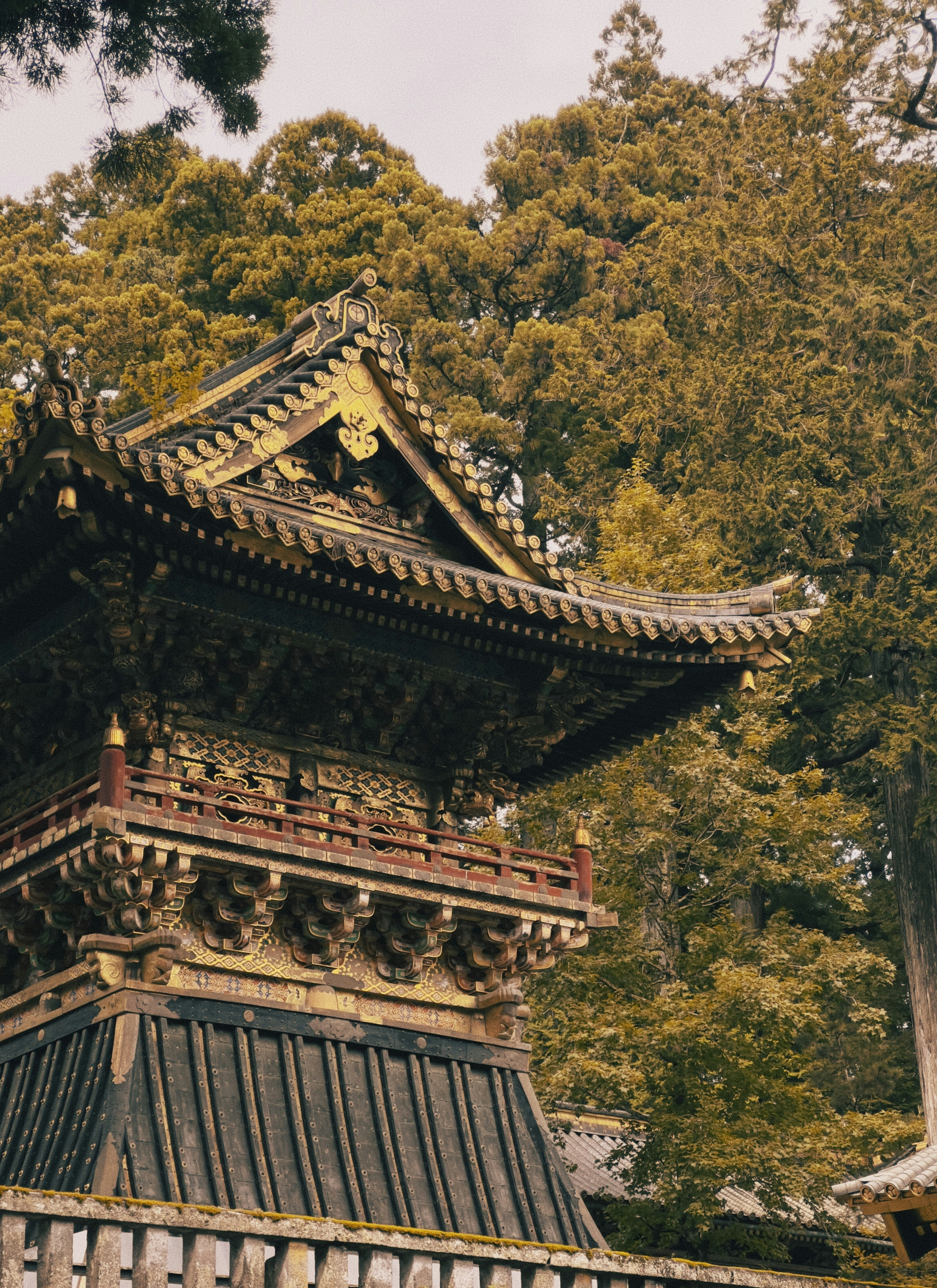 Photo by moritz_photography