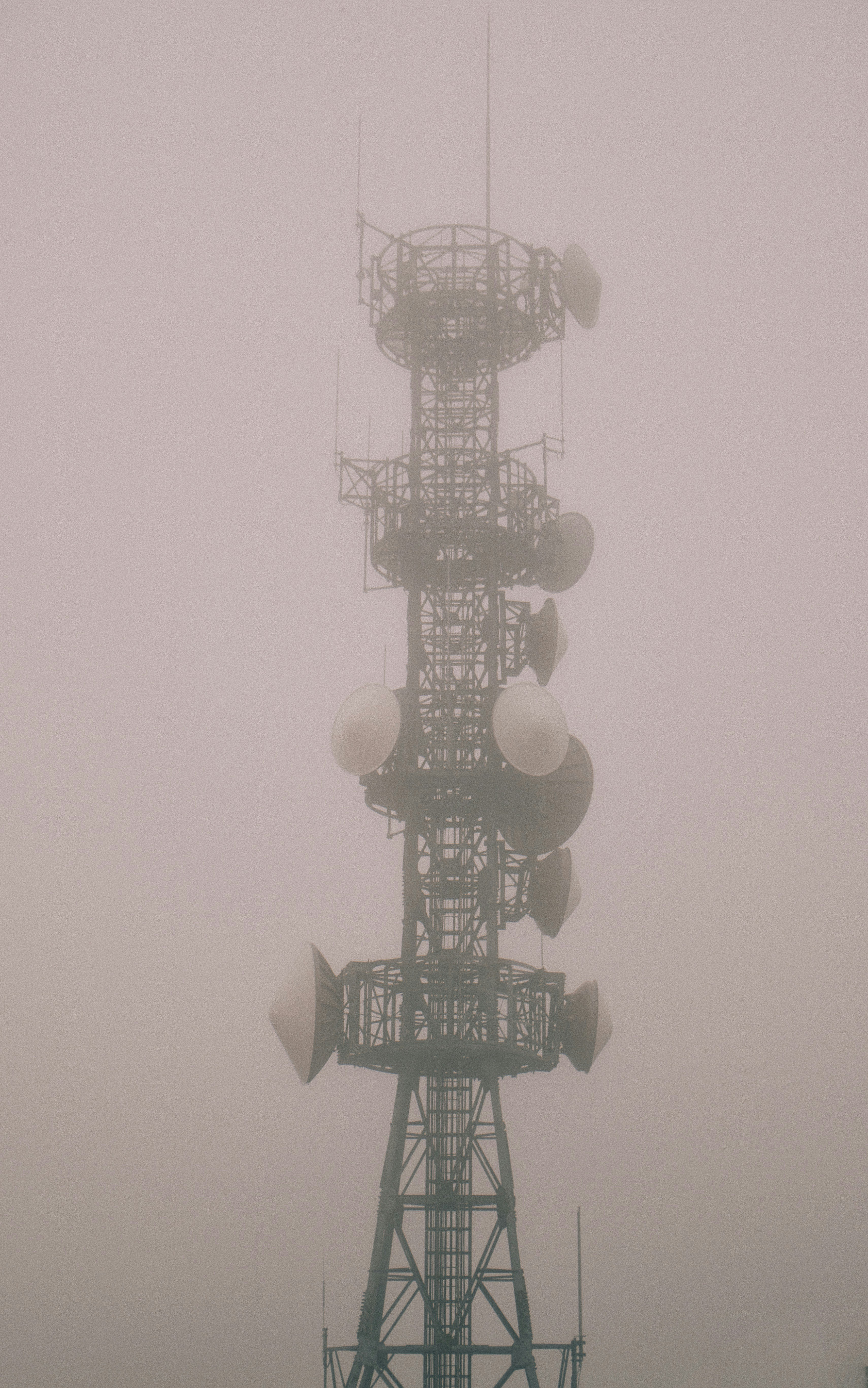 Photo by moritz_photography