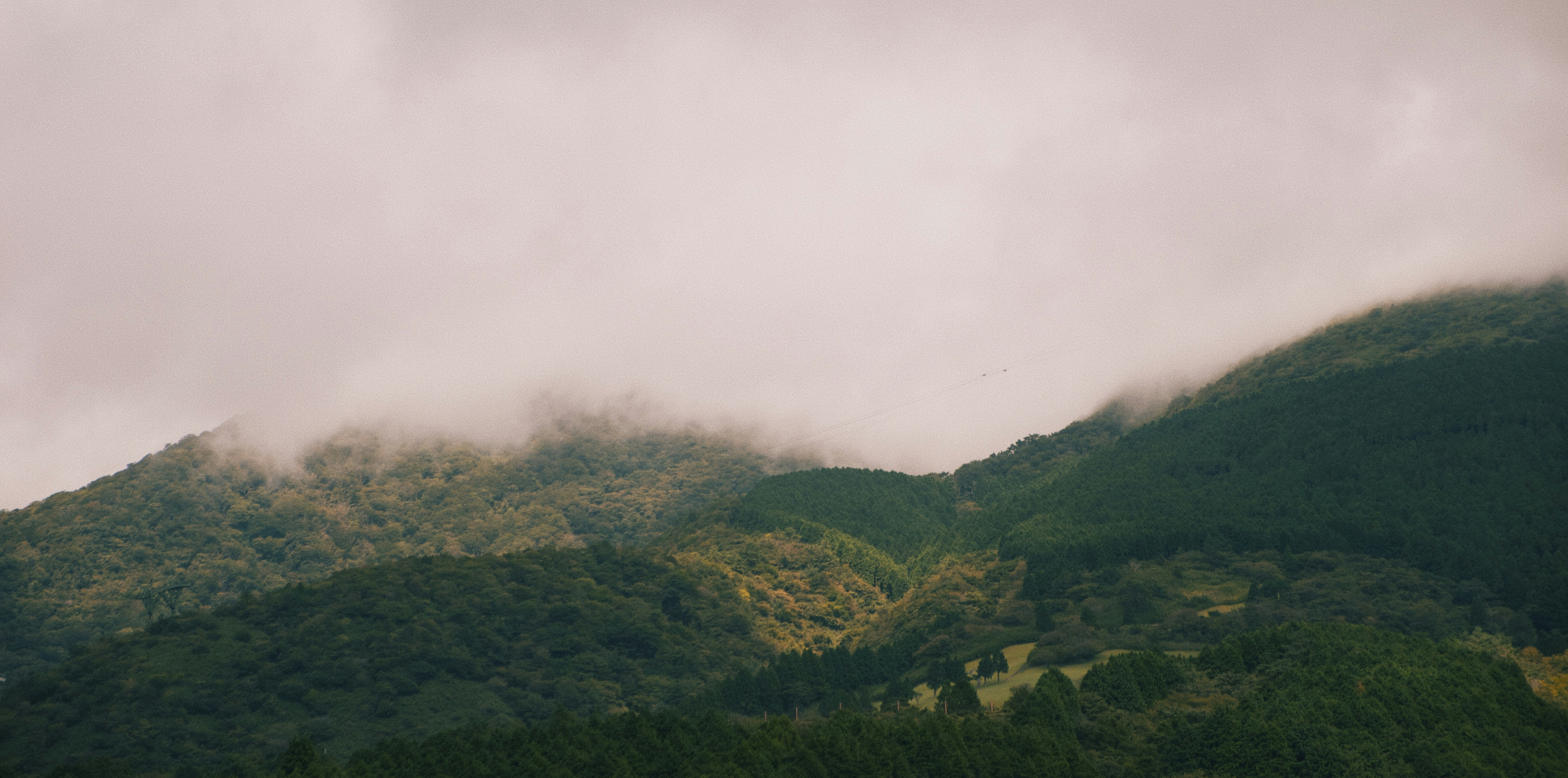 Photo by moritz_photography