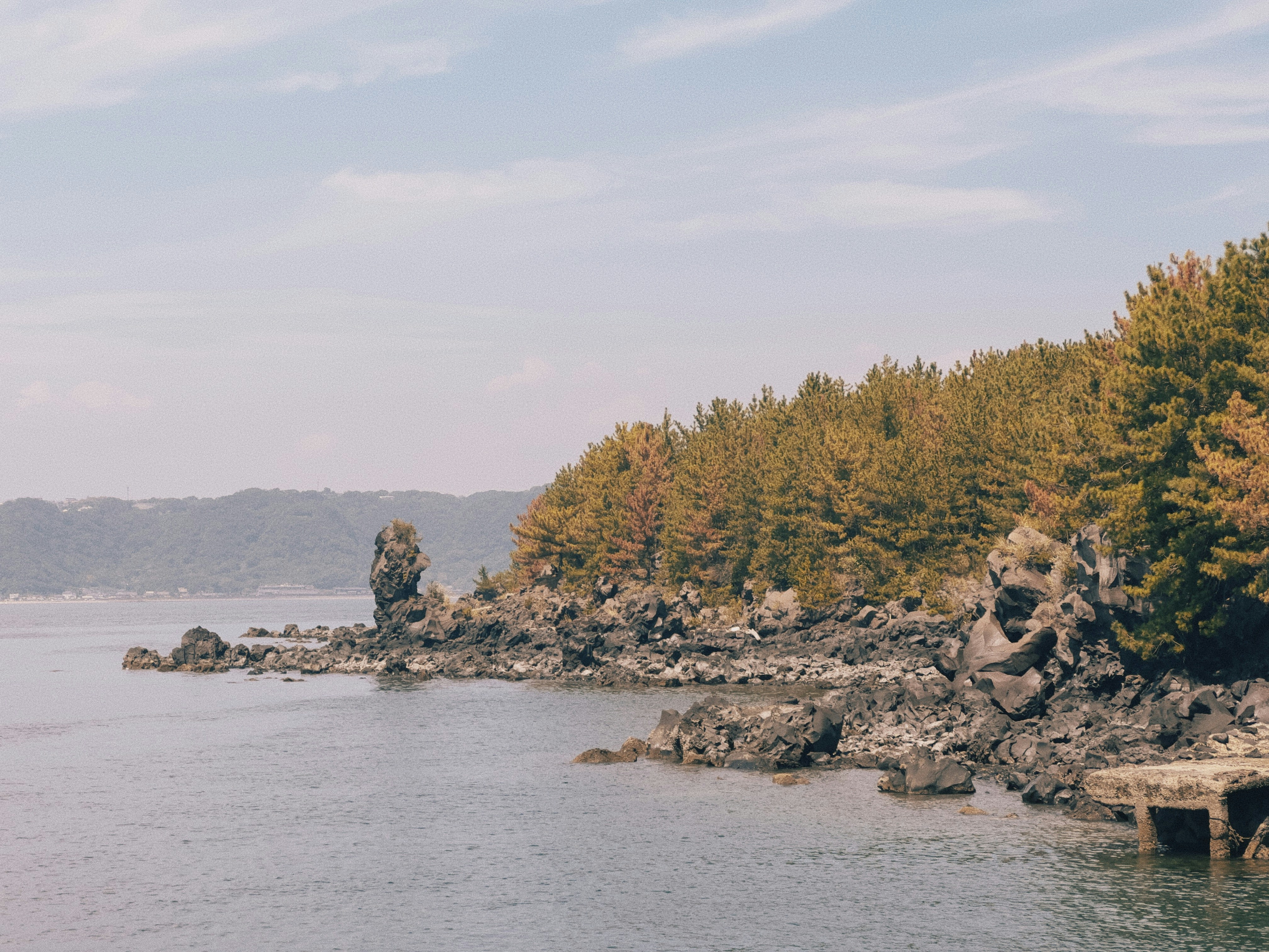 Photo by moritz_photography