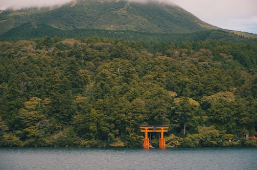 A serene natural landscape featuring a dense forest of lush green trees partially enveloping a mountain in the background. In the foreground, a bright orange torii gate stands prominently in the calm waters of a lake, creating a striking visual contrast.