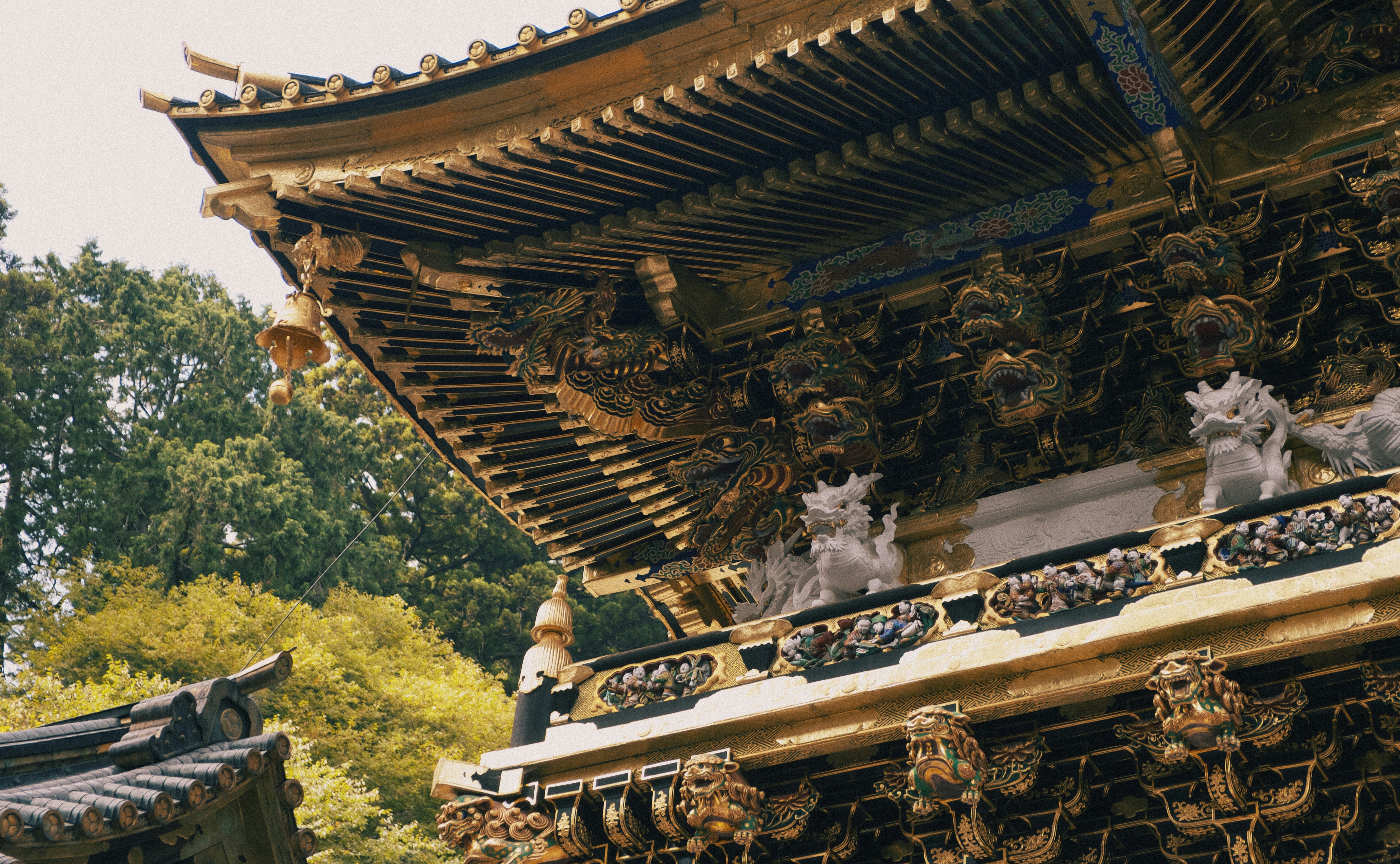 Photo by moritz_photography