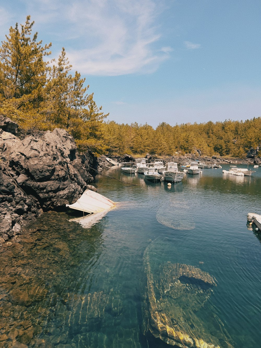 a body of water filled with lots of boats