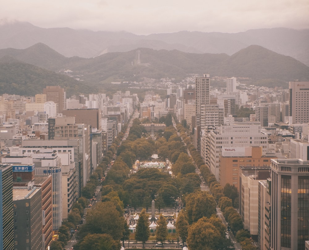 a view of a city with mountains in the background