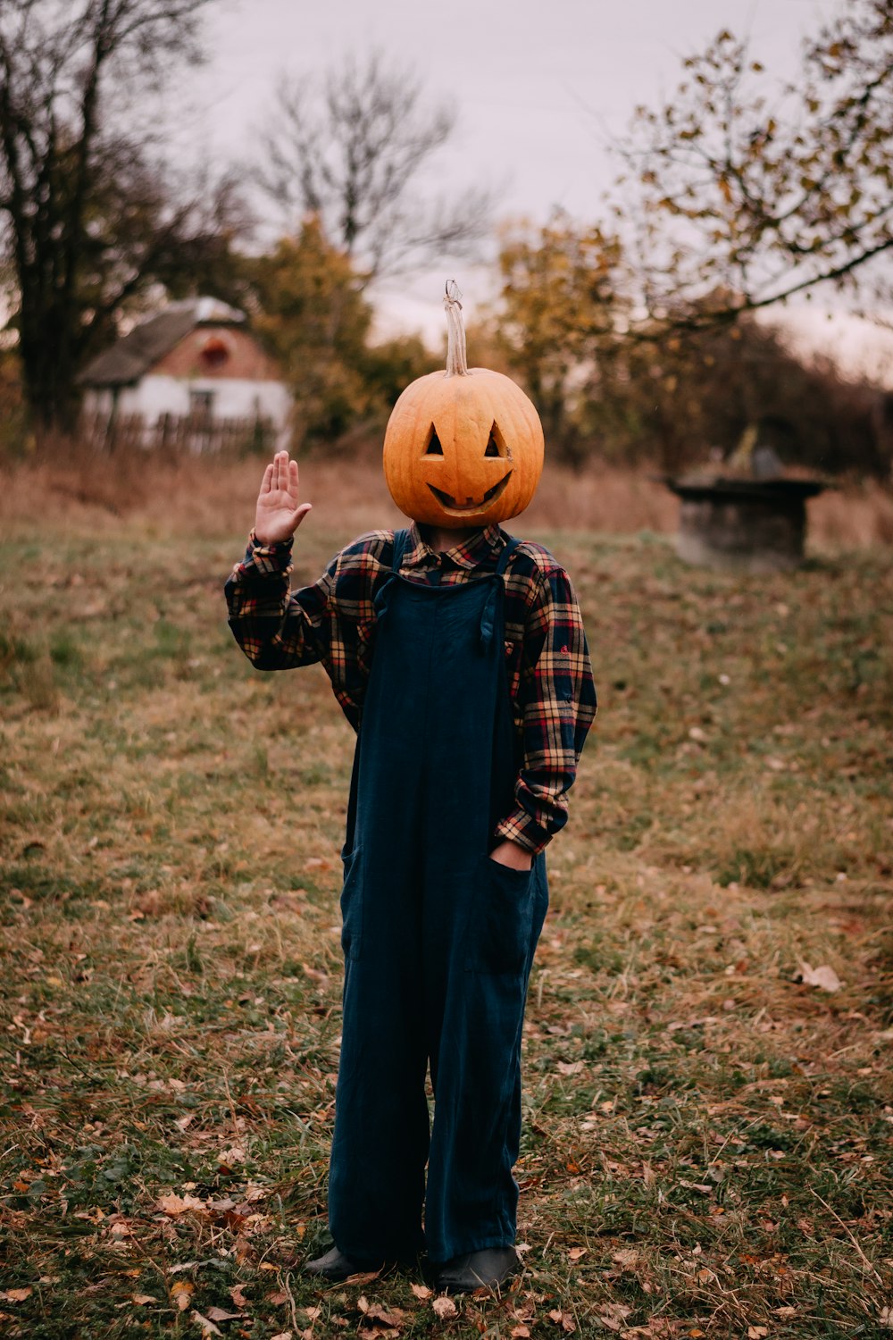 a young boy wearing a pumpkin head and overalls
