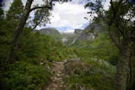 A scenic view of a mountain trail with fresh crisp air, hinting at the brand’s grounding in nature.