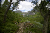 A scenic mountain trail in Mexico with lush greenery and a clear blue sky overhead.