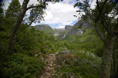 A stunning travel video shoot on a scenic mountain trail.