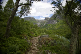 A scenic mountain trail in Mexico with lush greenery and a clear blue sky overhead.