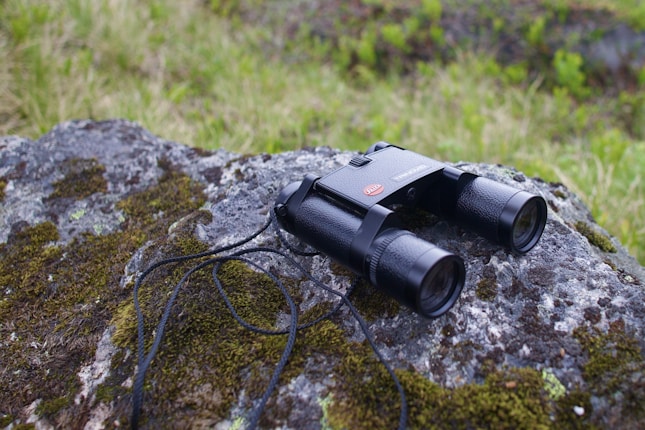 A pair of black binoculars lies on a moss-covered rock, surrounded by a natural setting with grassy areas. The binoculars have a cord attached, and the surface of the rock showcases different textures and shades of green and gray.