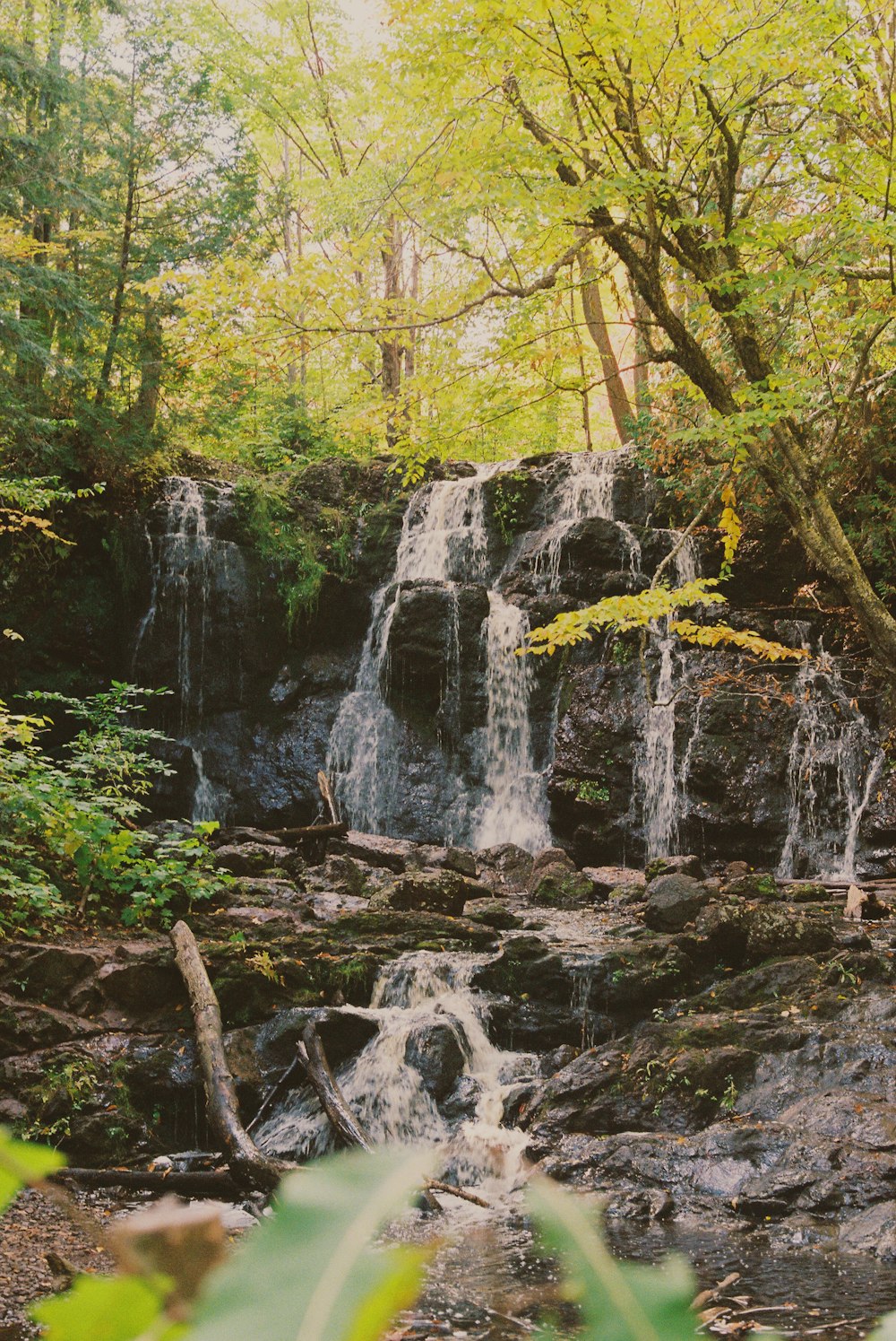 a small waterfall in the middle of a forest